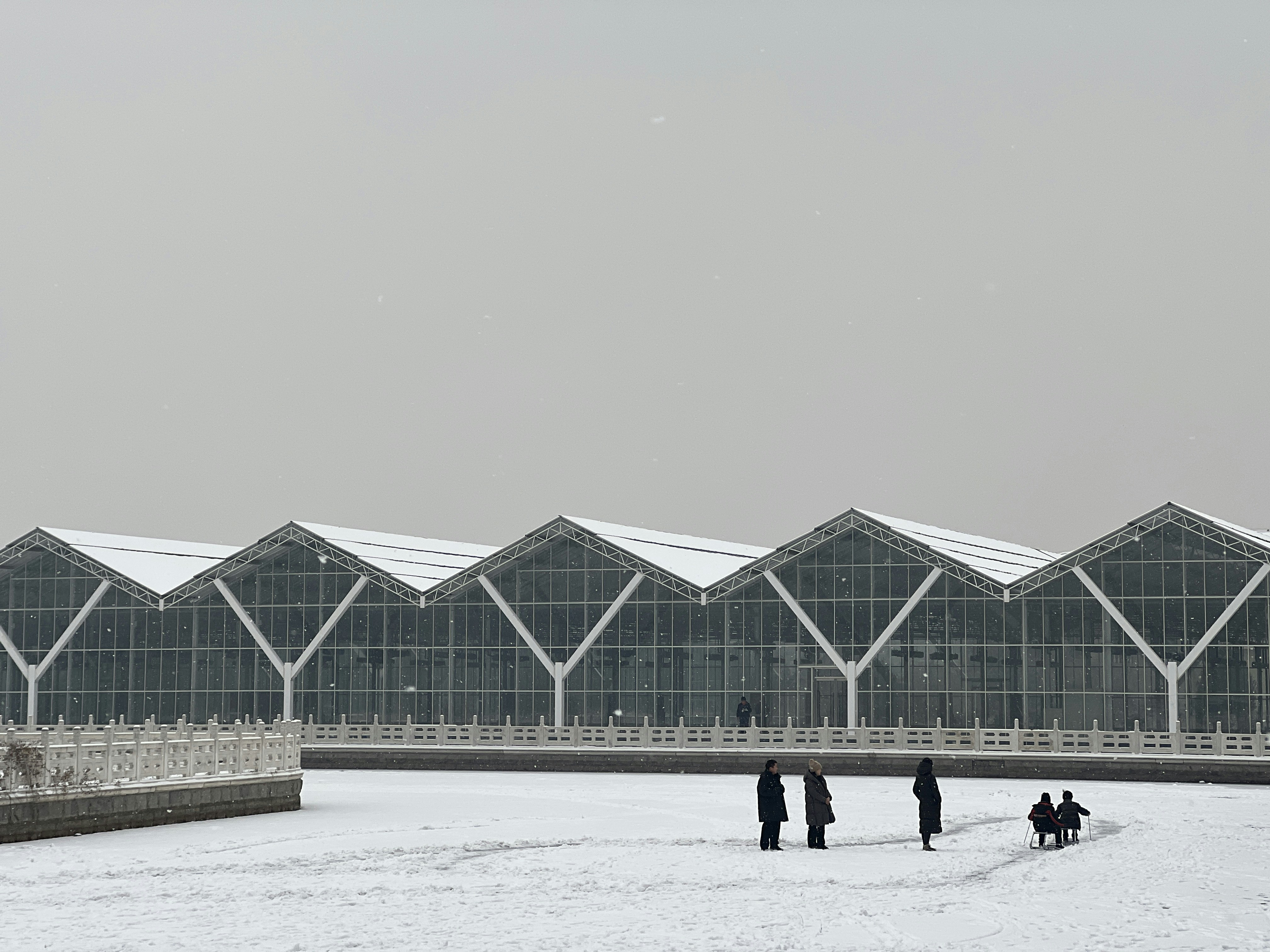 Harbin Ice and Snow World photo 3