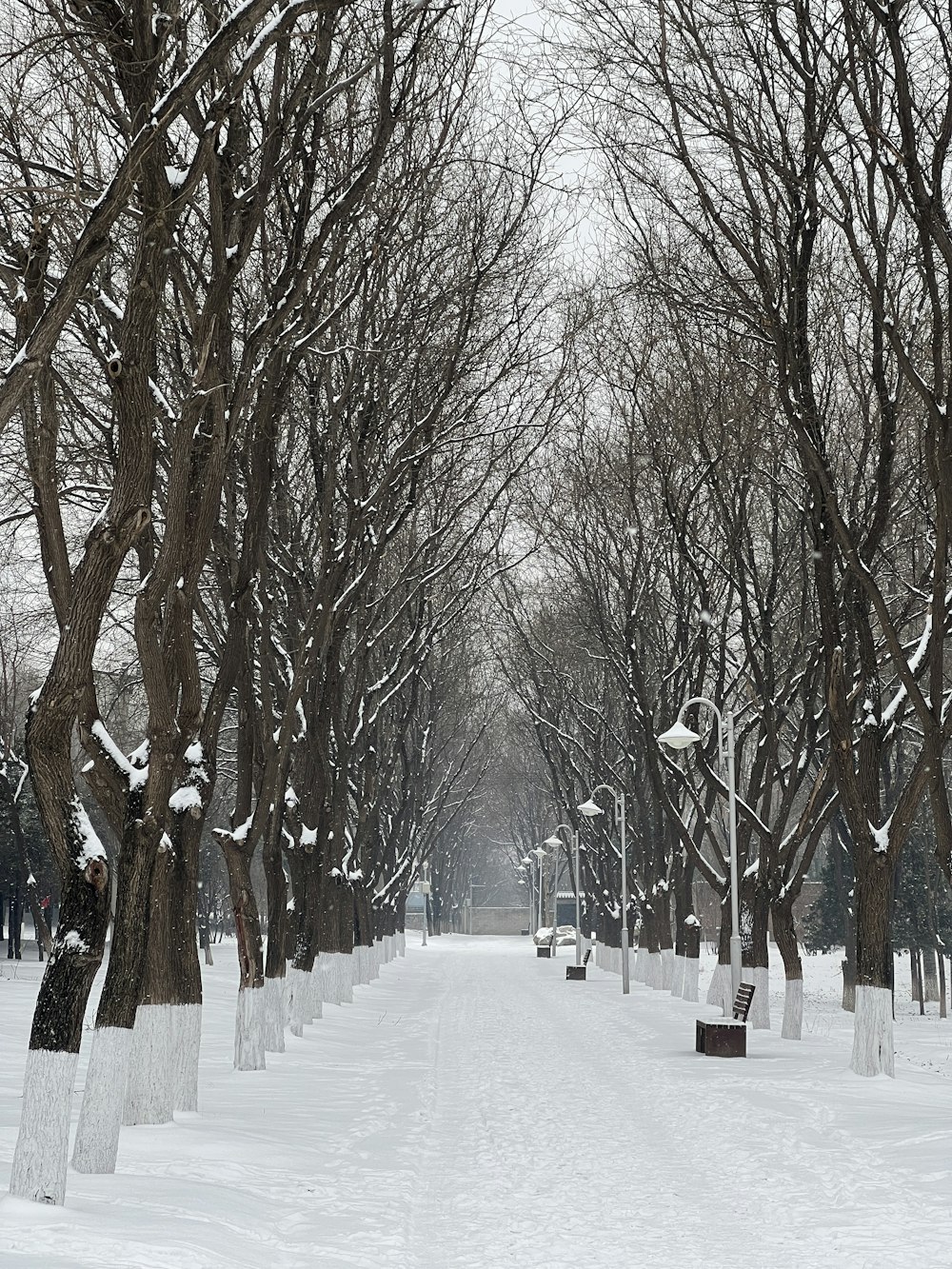 a snow covered park with benches and trees