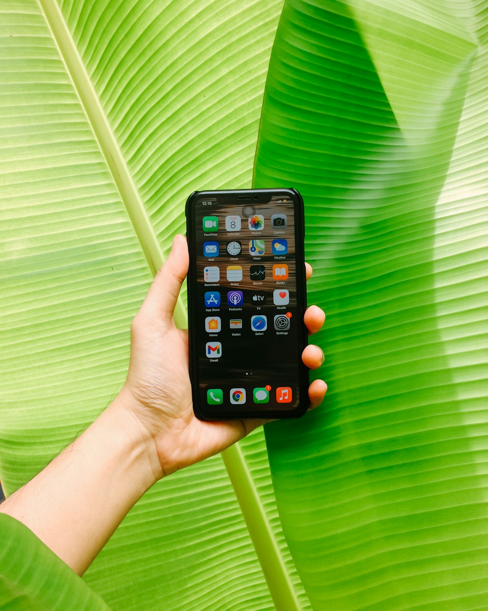 a person holding a cell phone in their hand