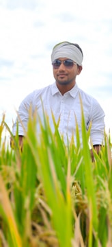 A farmer inspecting crops with insurance documents in hand.