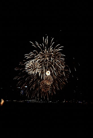 Colorful fireworks bursting in the night sky