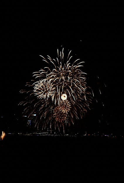 Colorful fireworks bursting in the night sky