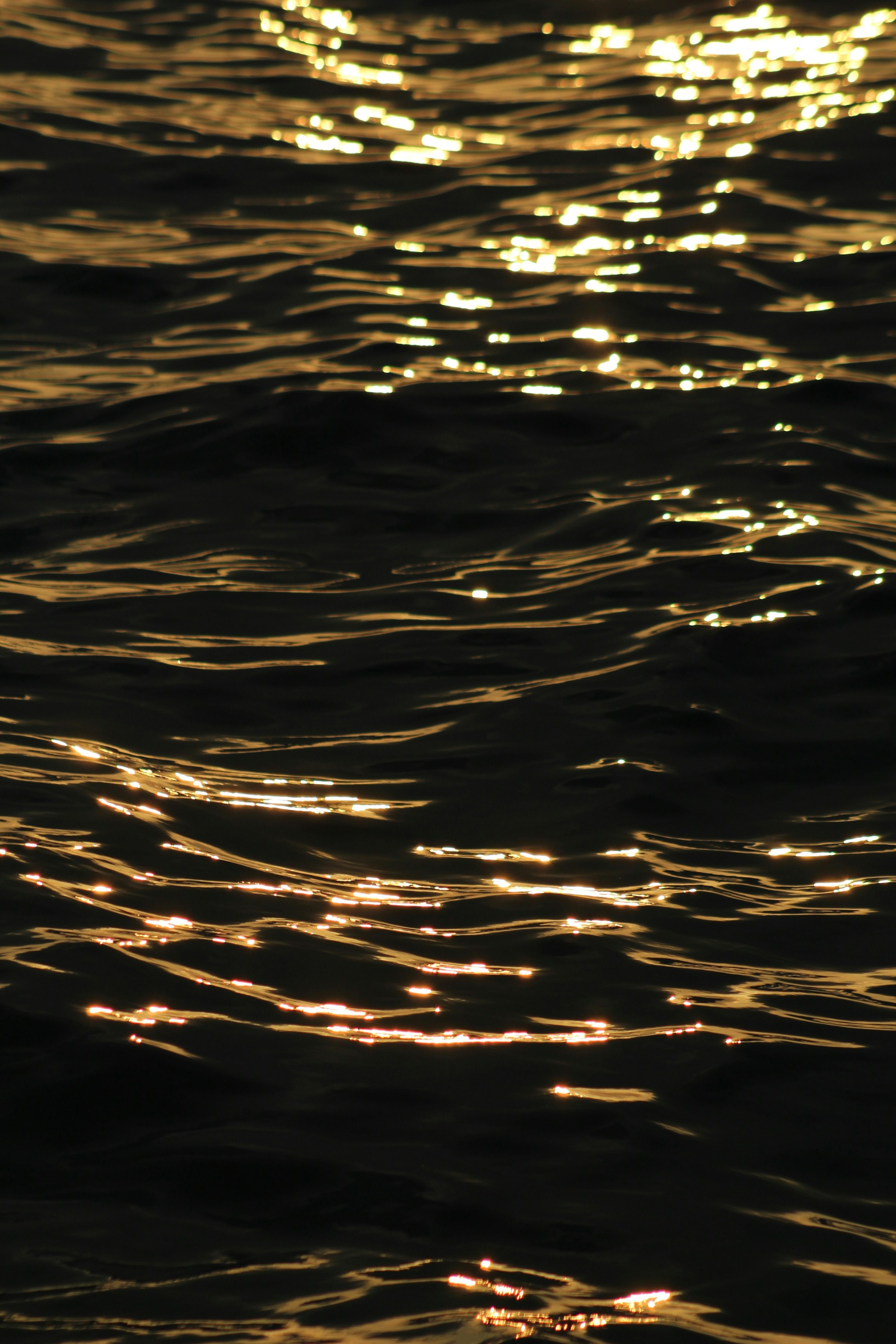 Photo by rabshau