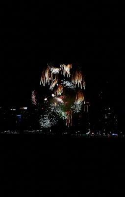 Vibrant fireworks illuminate the night sky with bursts of red, orange, green, and white. The city skyline is silhouetted against the darkness, with faint outlines of tall buildings. Trails and sparks create a dynamic and lively atmosphere.