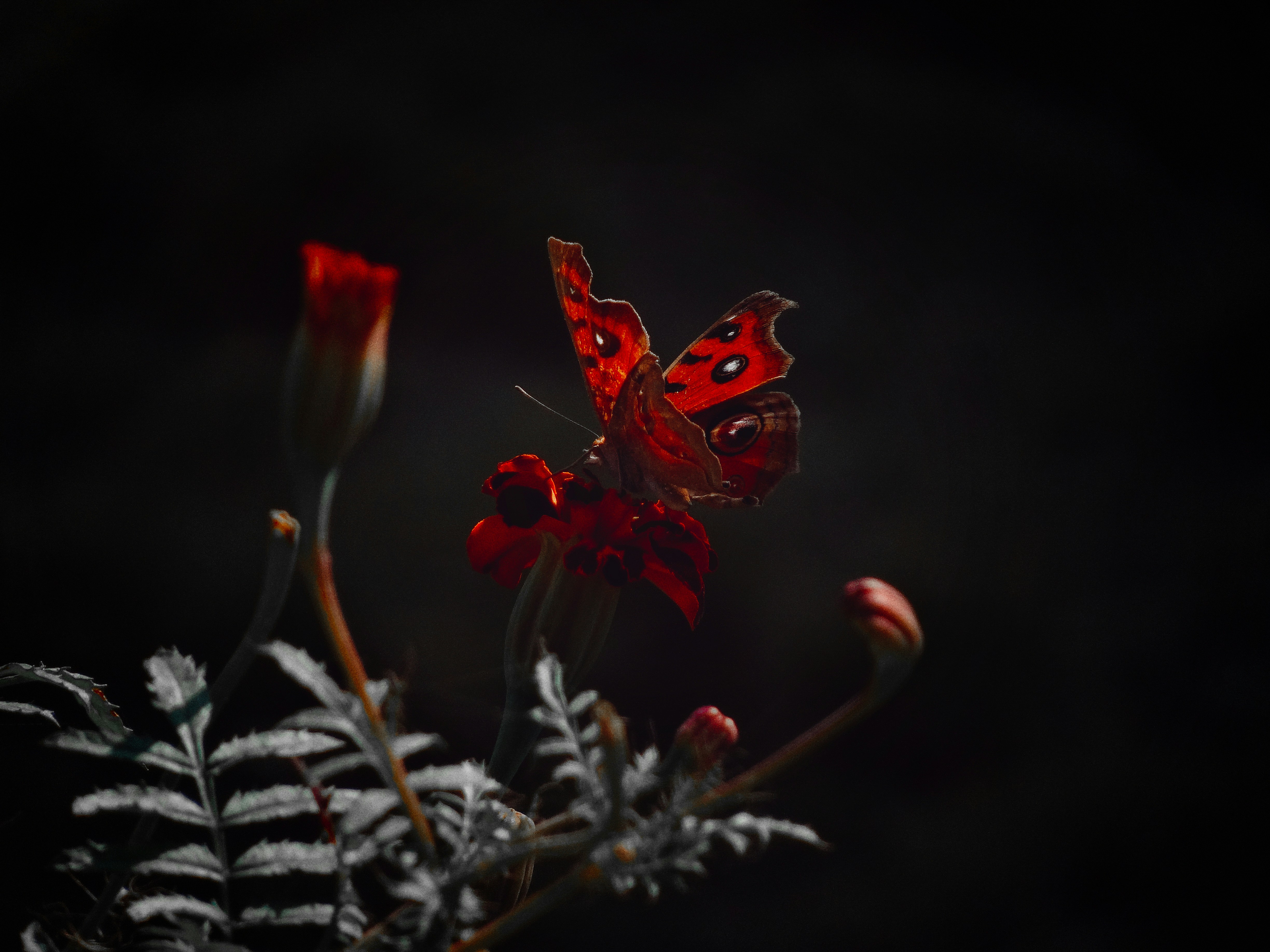 Photo by aayush_khokhar