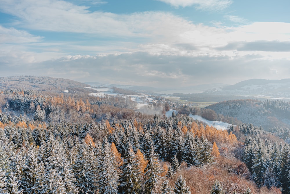前景に木々が生い茂る雪山の絶景