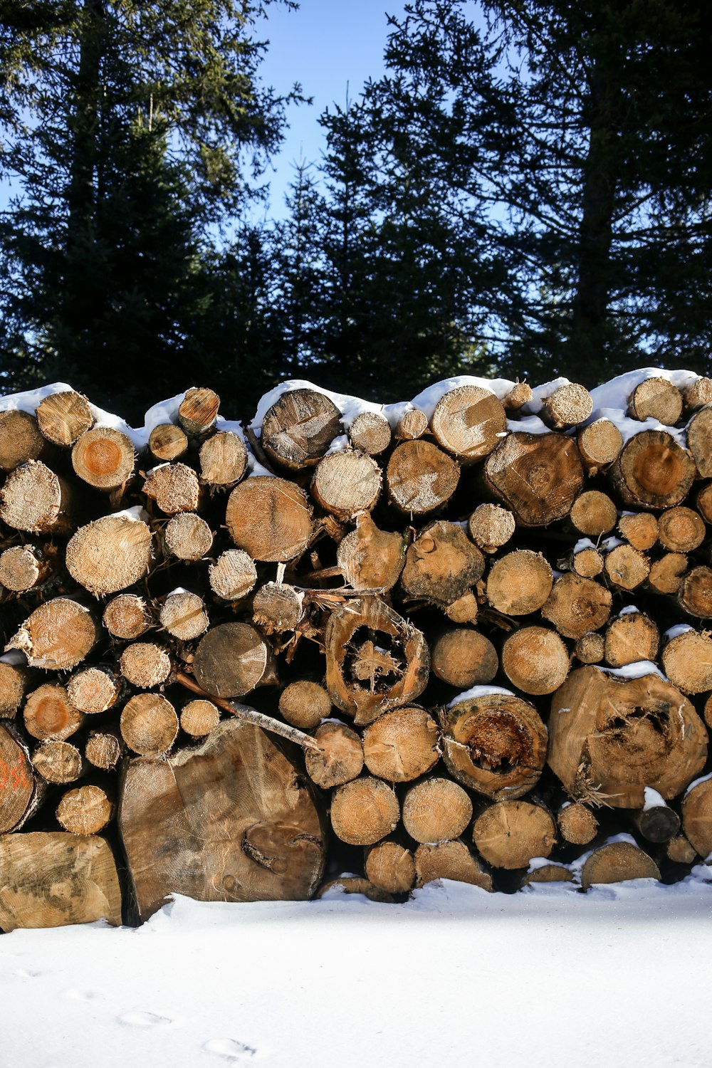 a pile of logs sitting in the snow