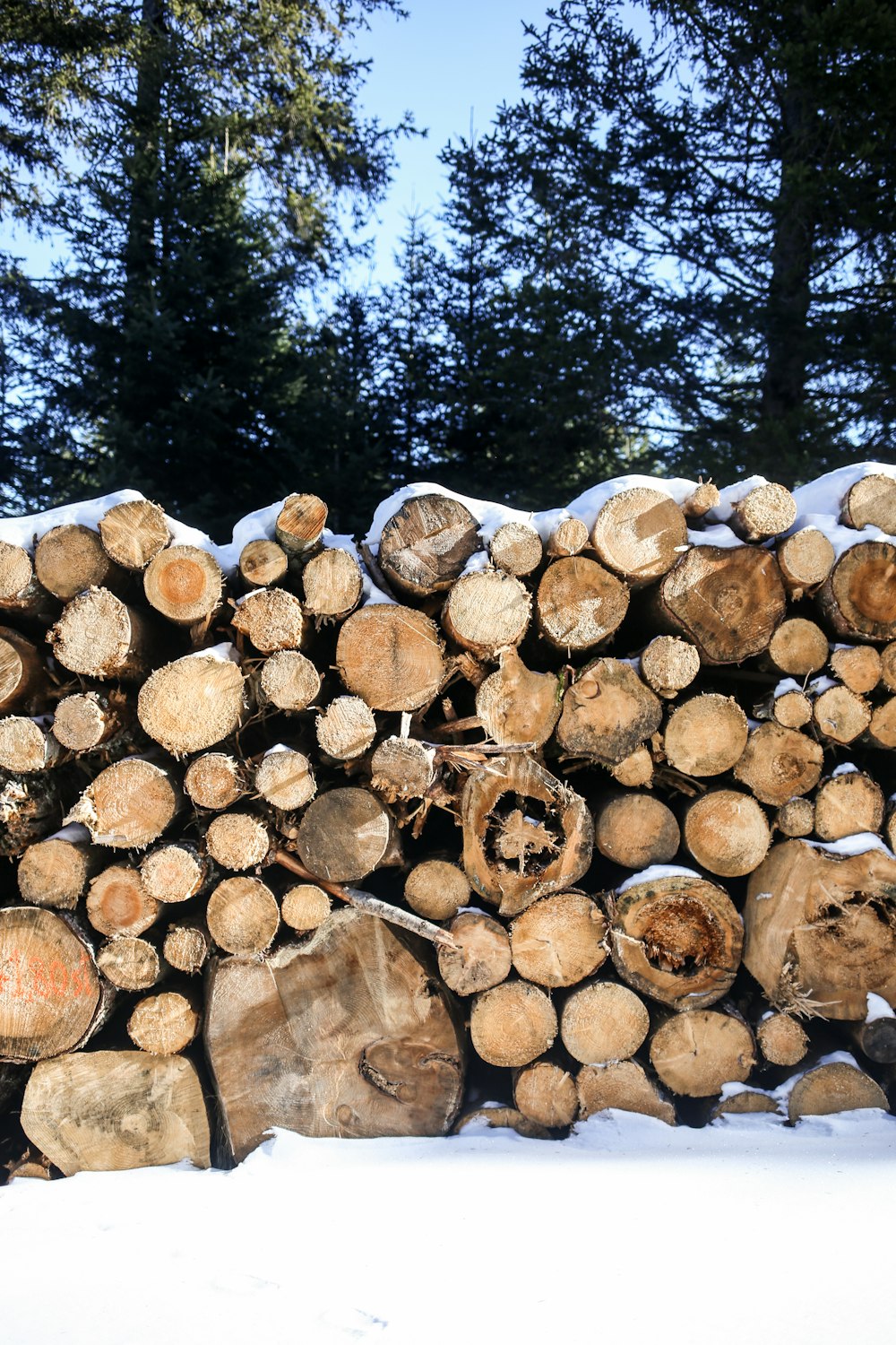a pile of logs sitting on top of snow covered ground