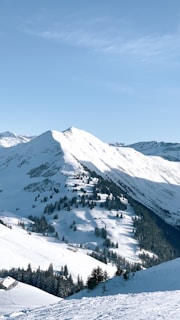 a view of a snowy mountain with trees on it