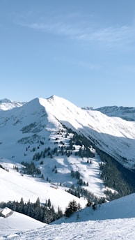 a view of a snowy mountain with trees on it