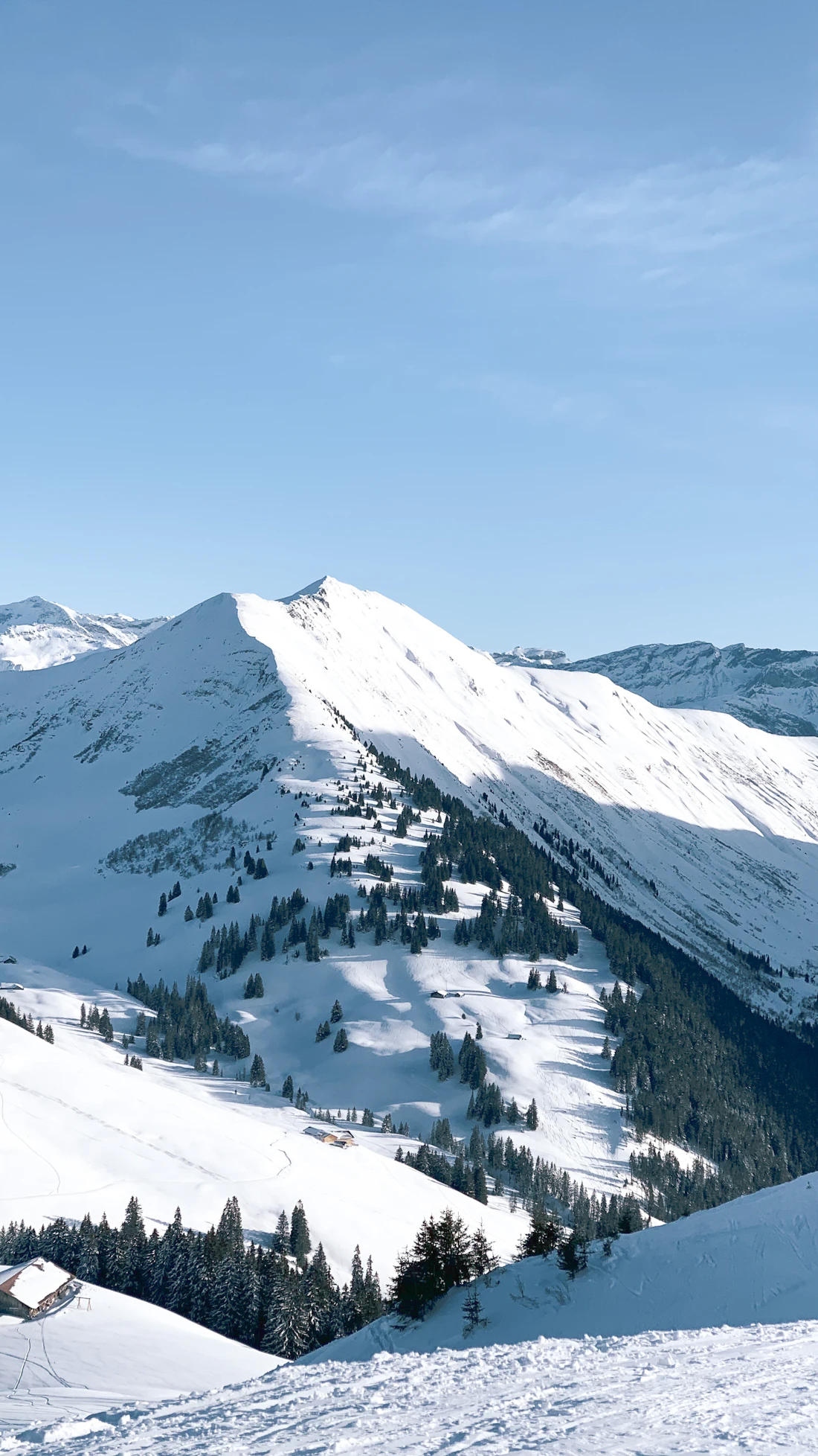 The Quiet Season