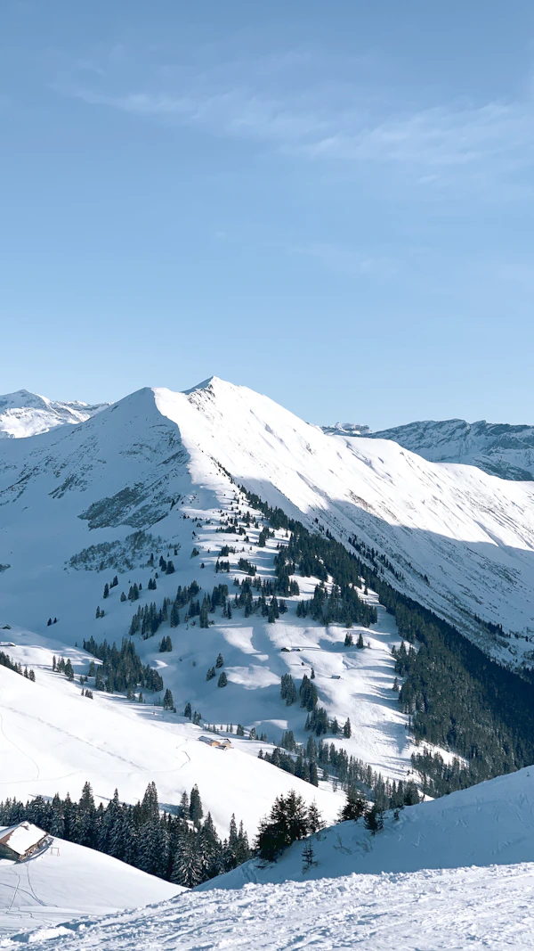 The Quiet Season