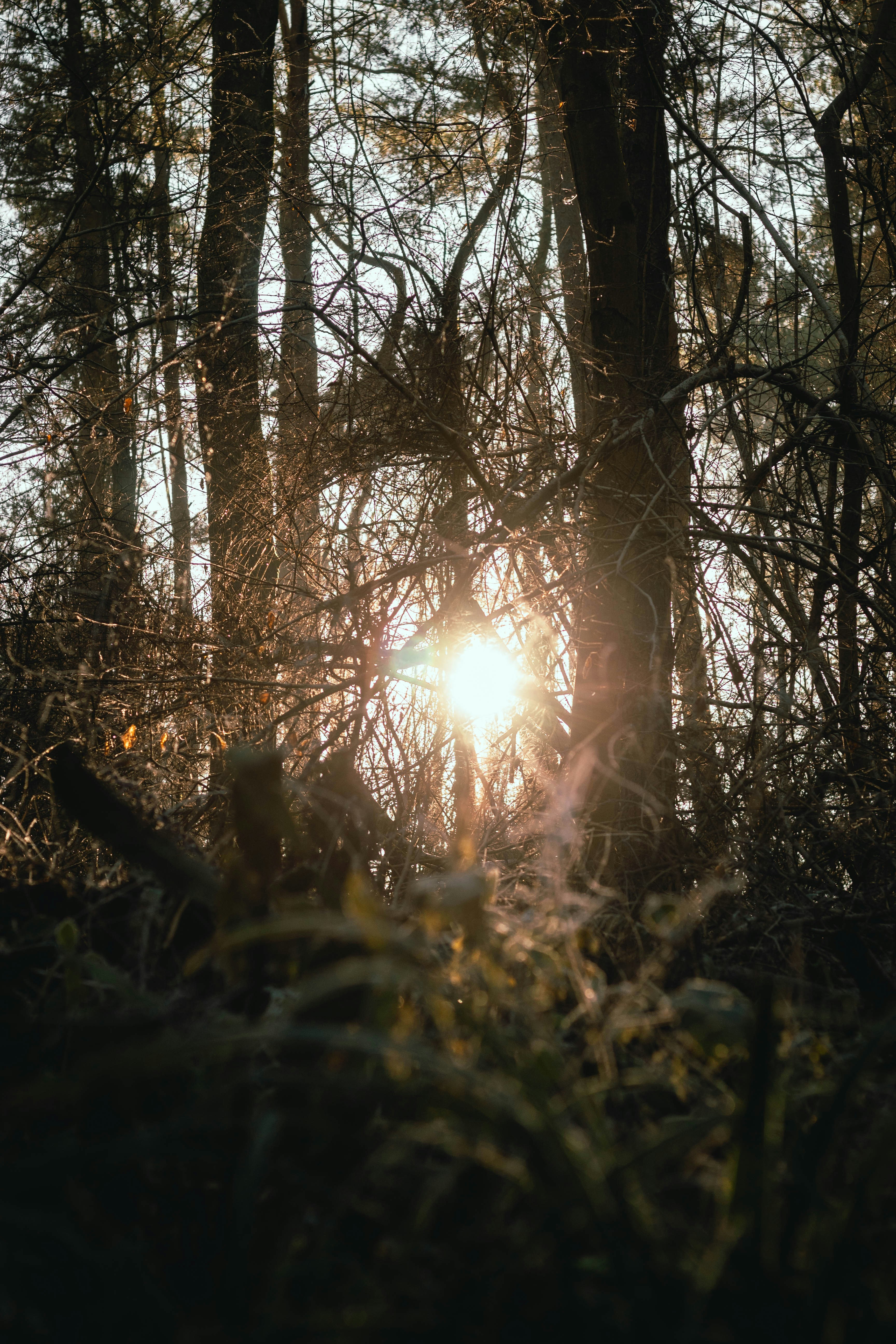 Photo by joshbryanphotos