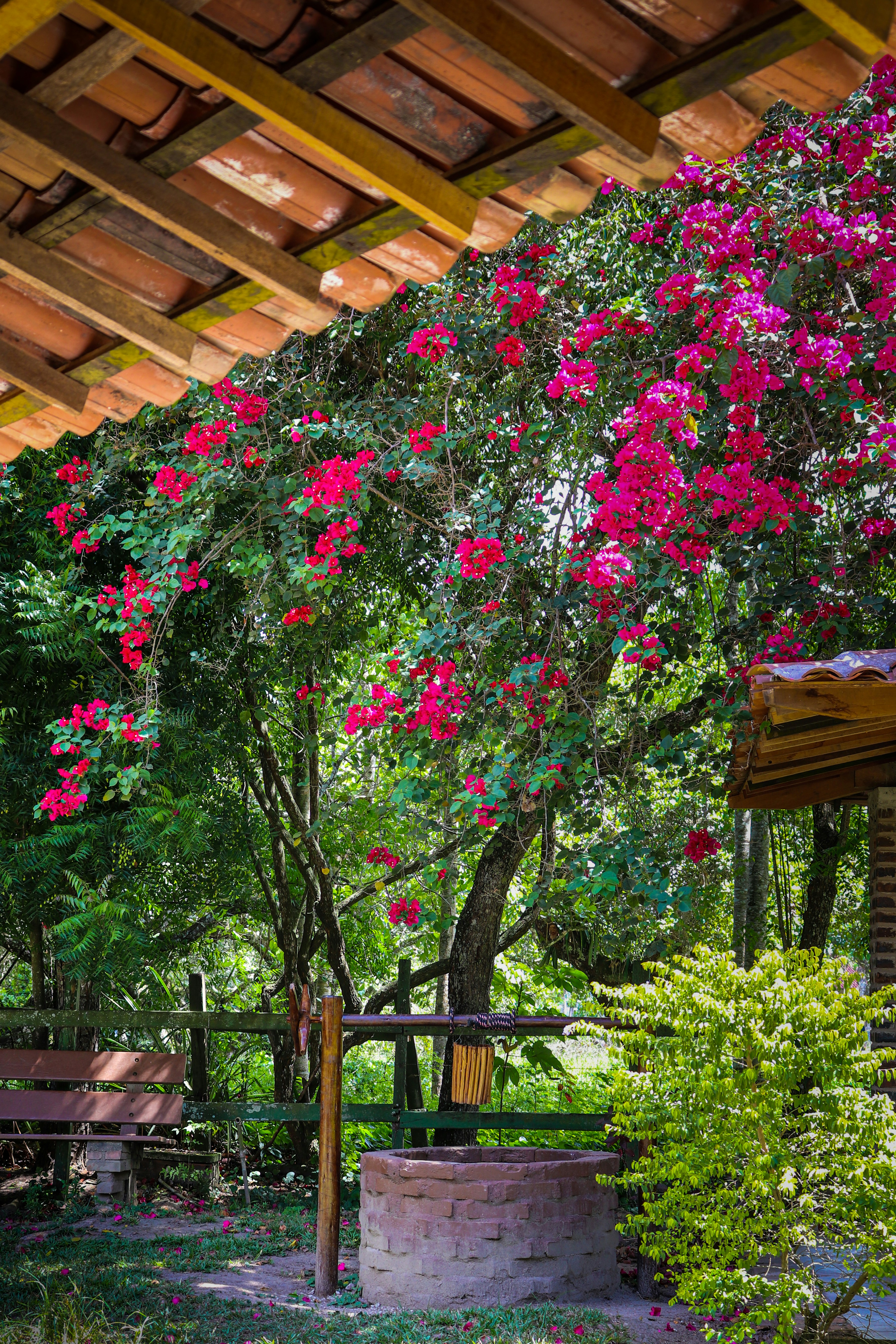 Photo by thiagojapyassu