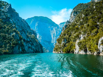 a body of water surrounded by mountains and trees