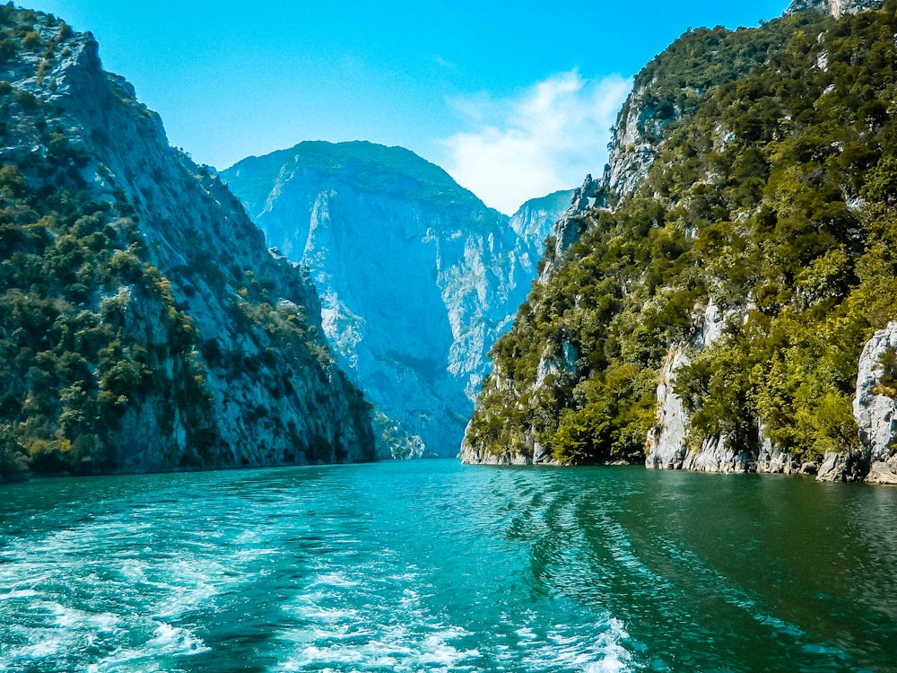 un cuerpo de agua rodeado de montañas y árboles