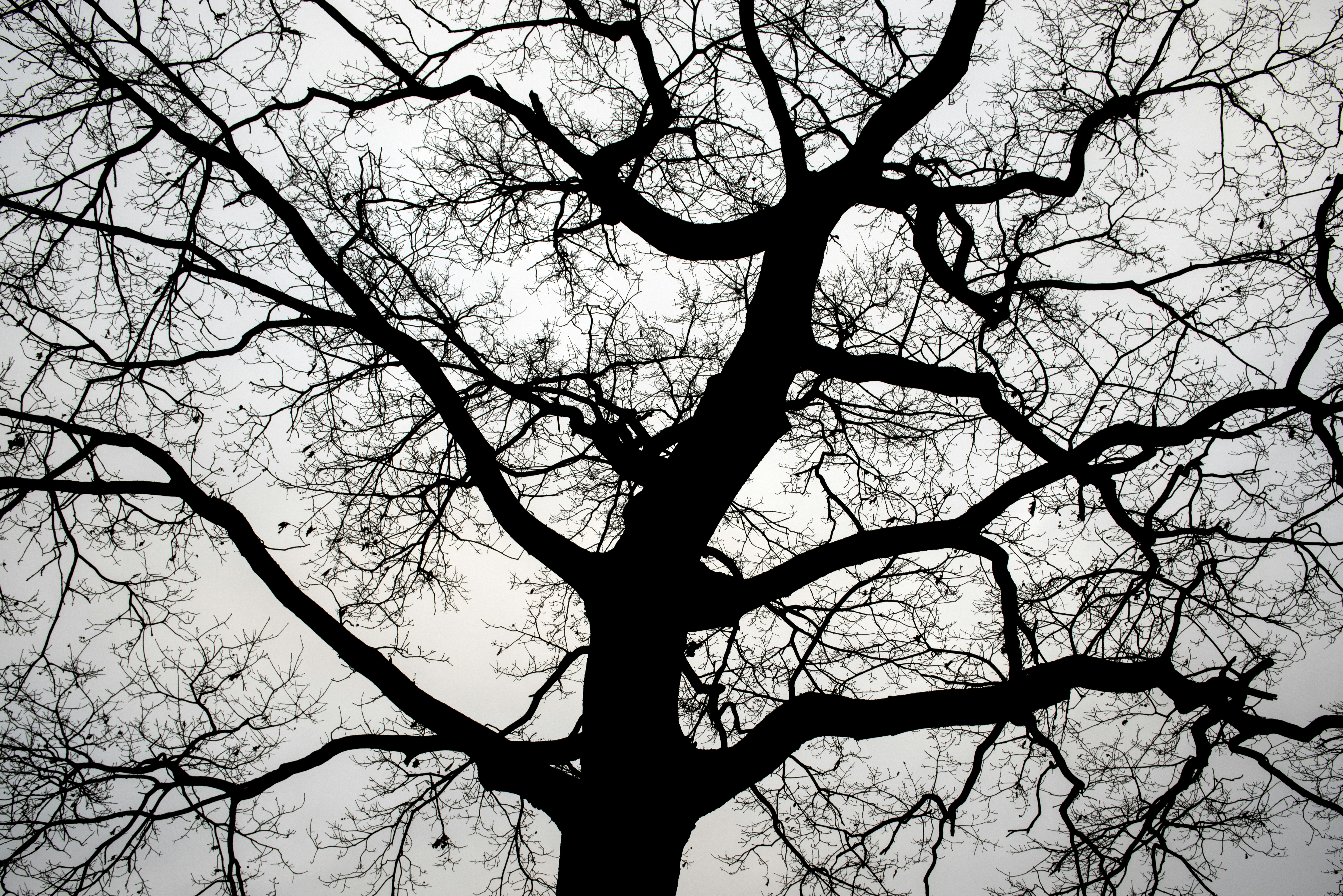 Photo by switch_dtp_fotografie