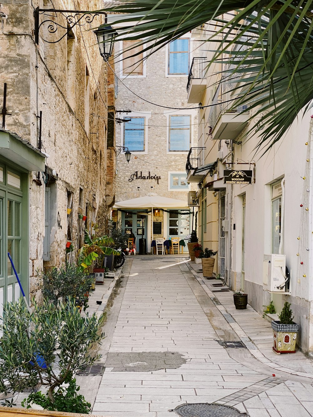 a narrow street with a palm tree in the middle of it