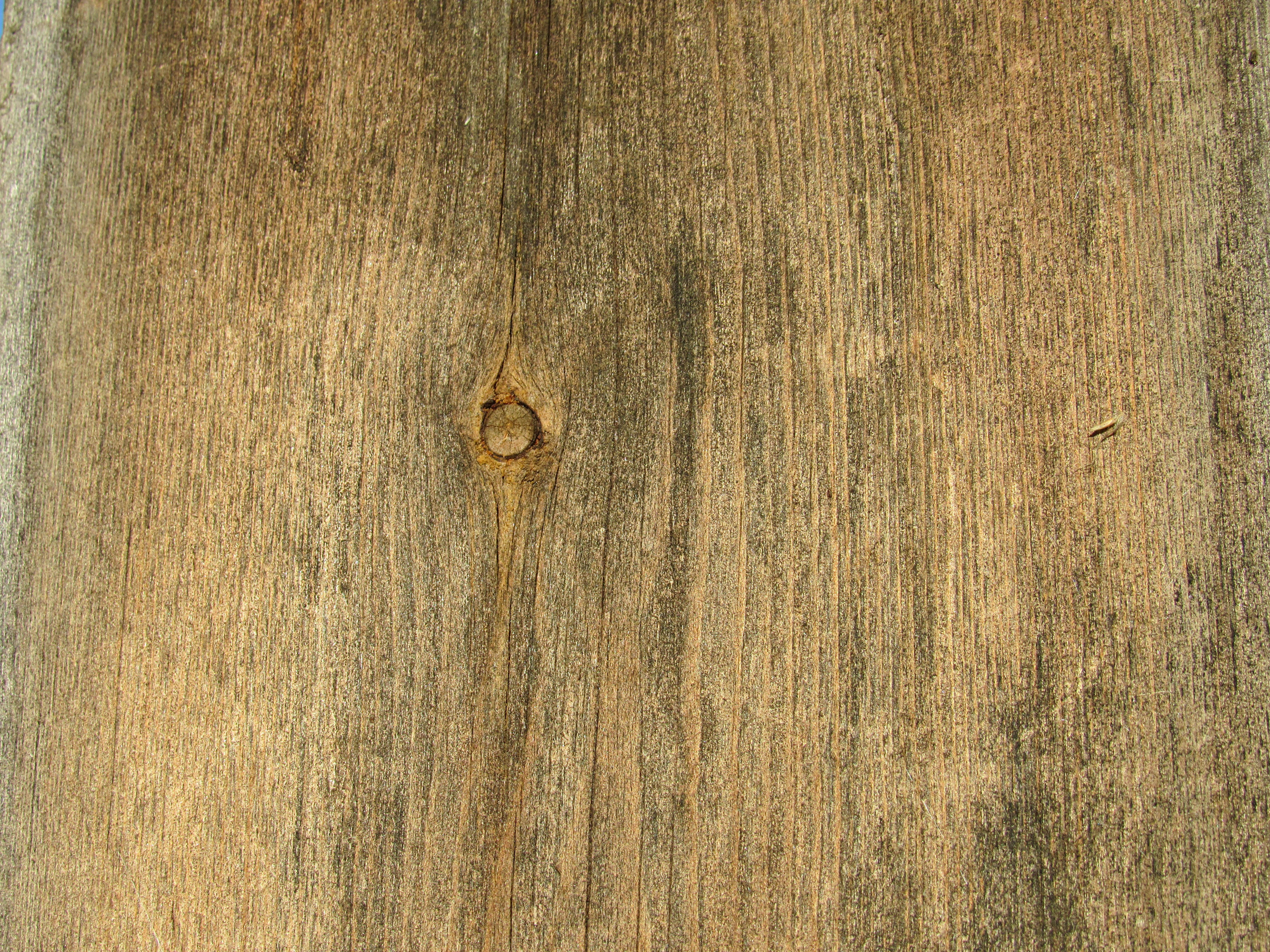 Photo by karyna_panchenko