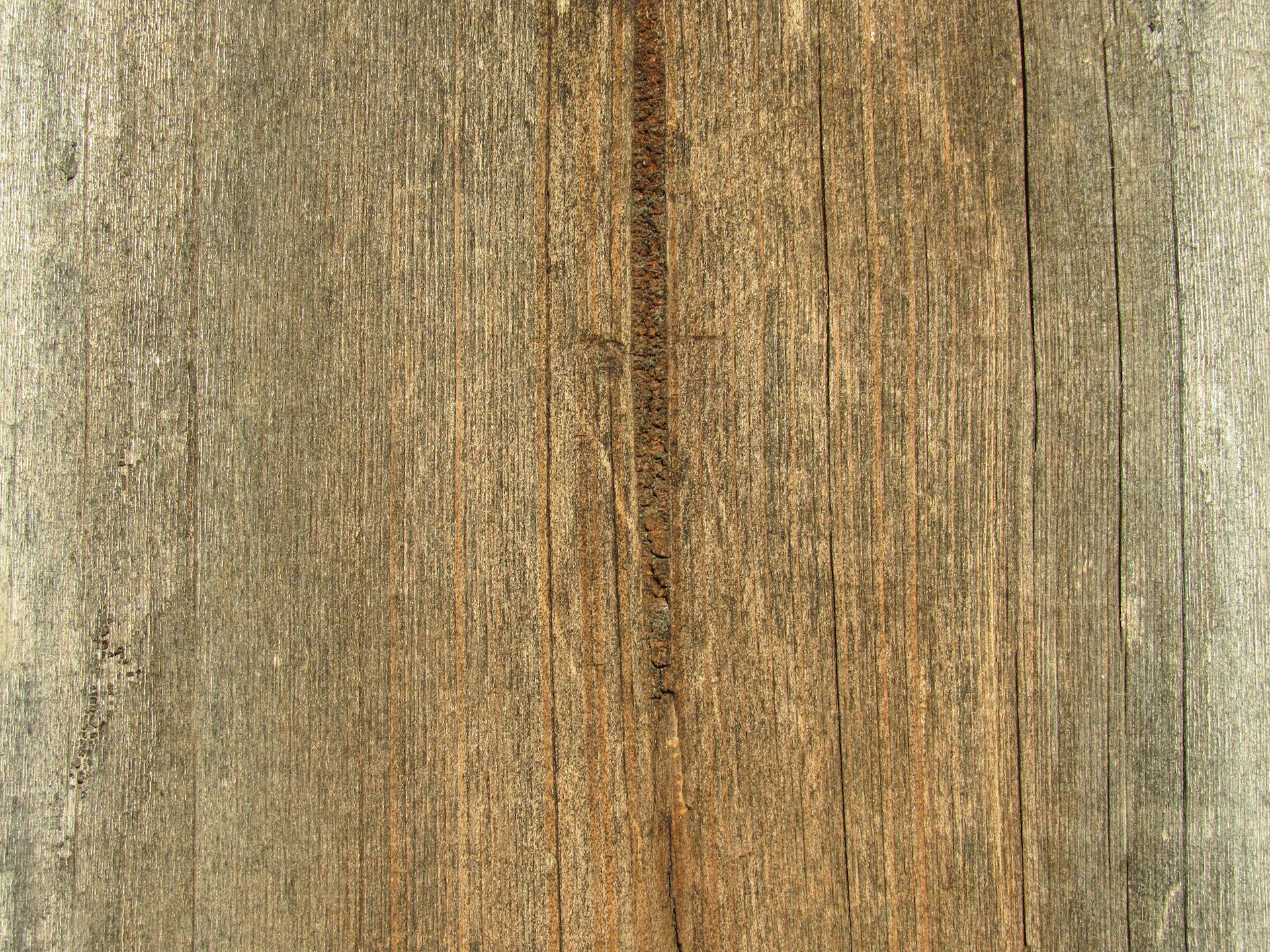 a close up of a piece of wood