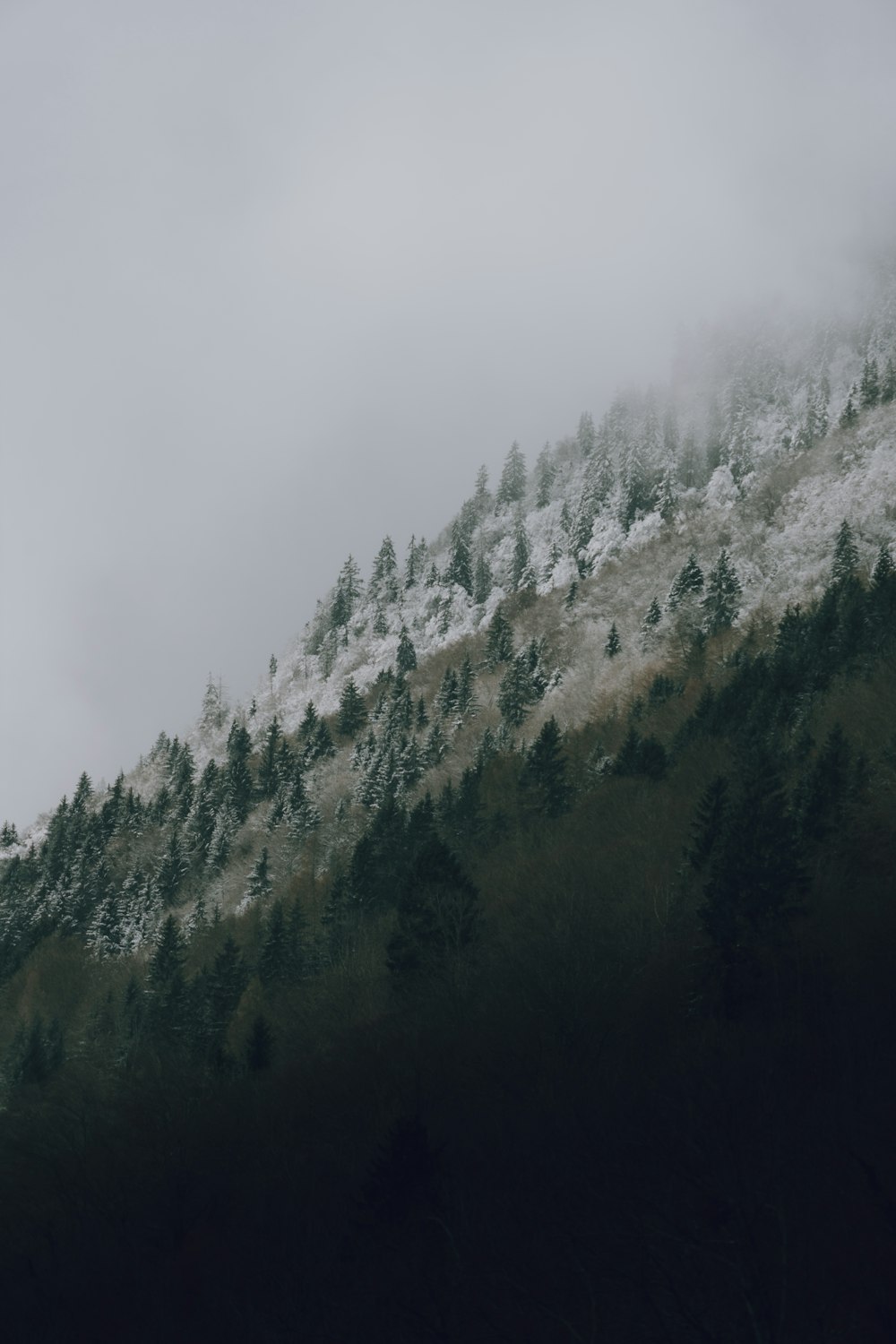 uma montanha coberta de neve e árvores sob um céu nublado