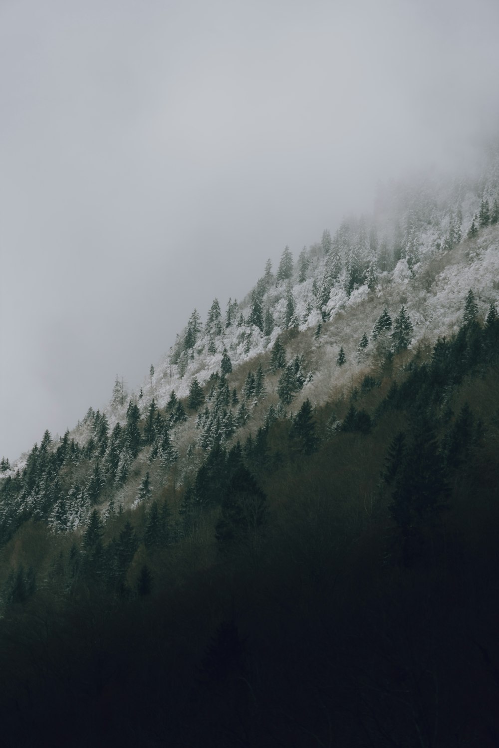 a mountain covered in snow and trees under a cloudy sky