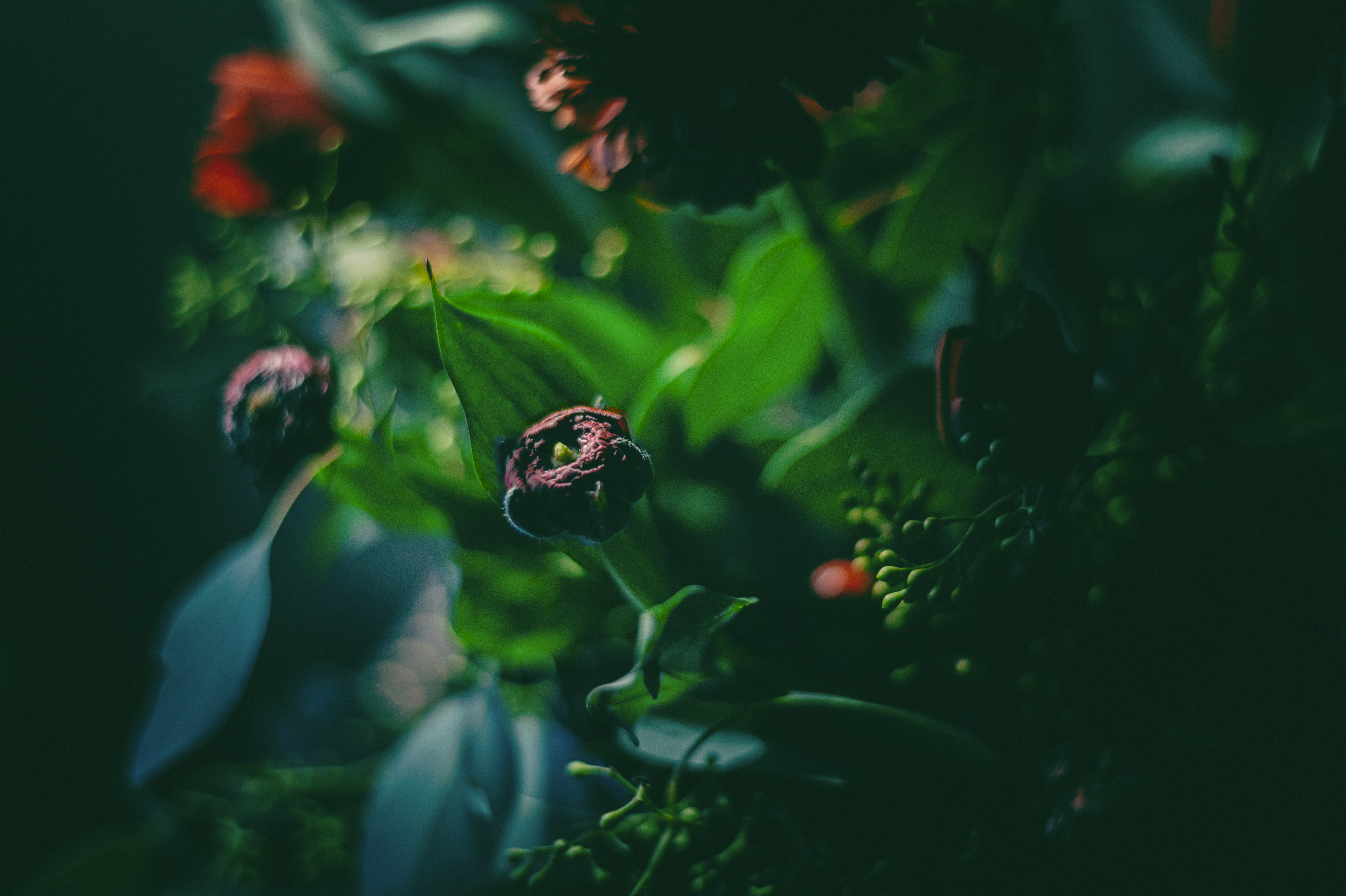 Photo by vonshnauzer