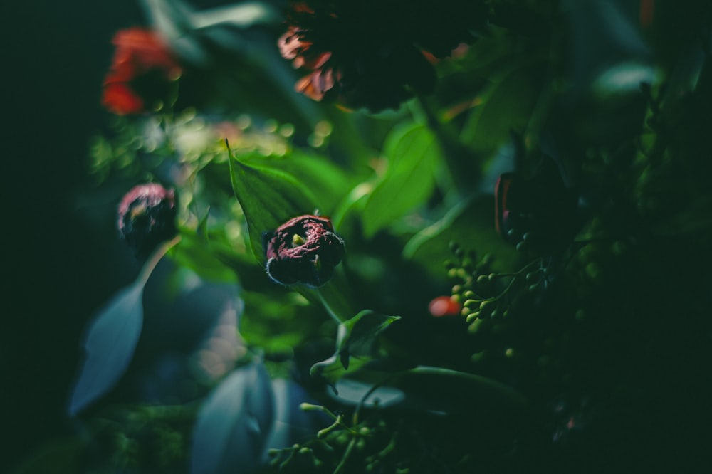 a bunch of flowers that are in a vase