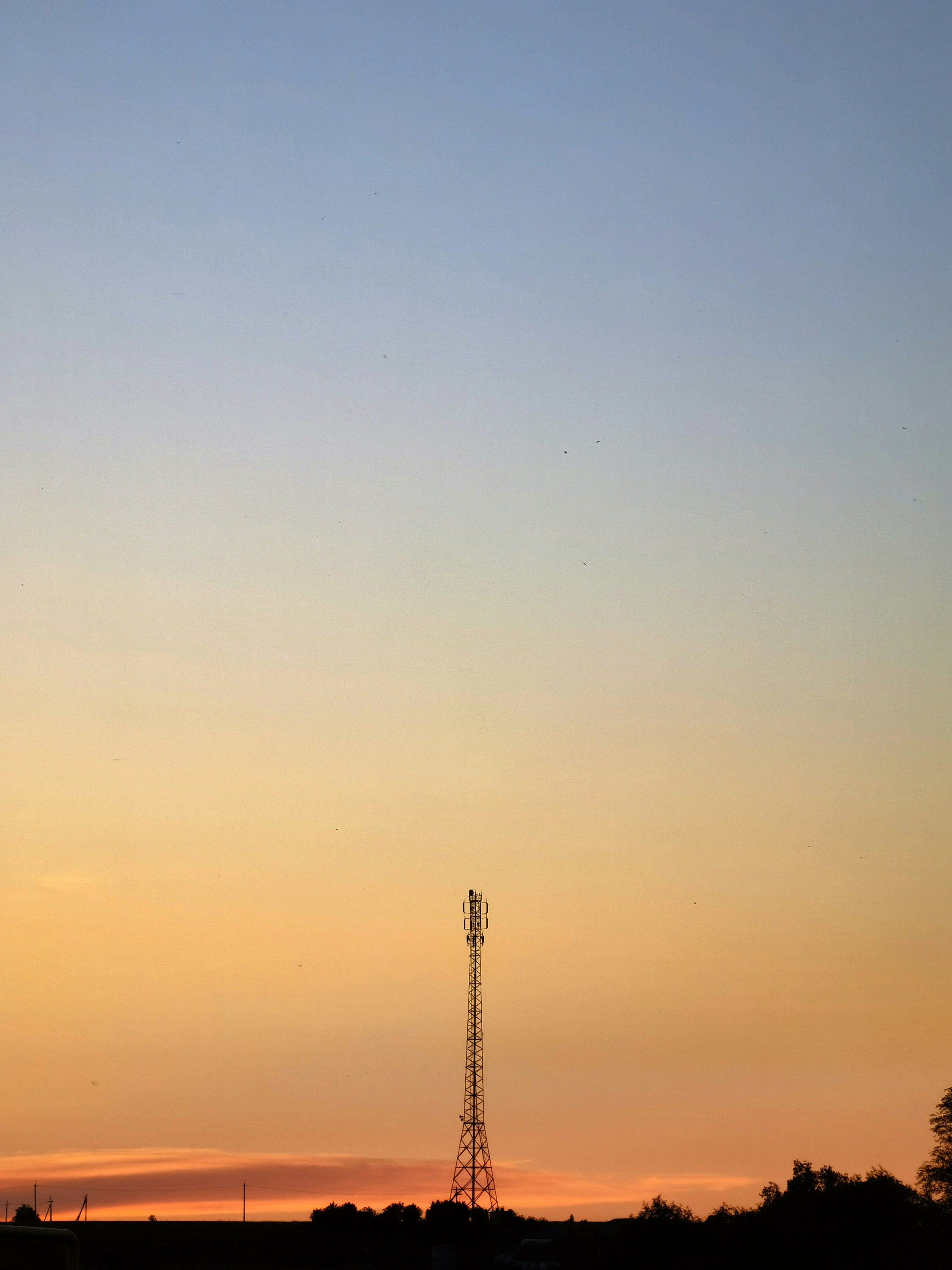 Photo by therealslkhv