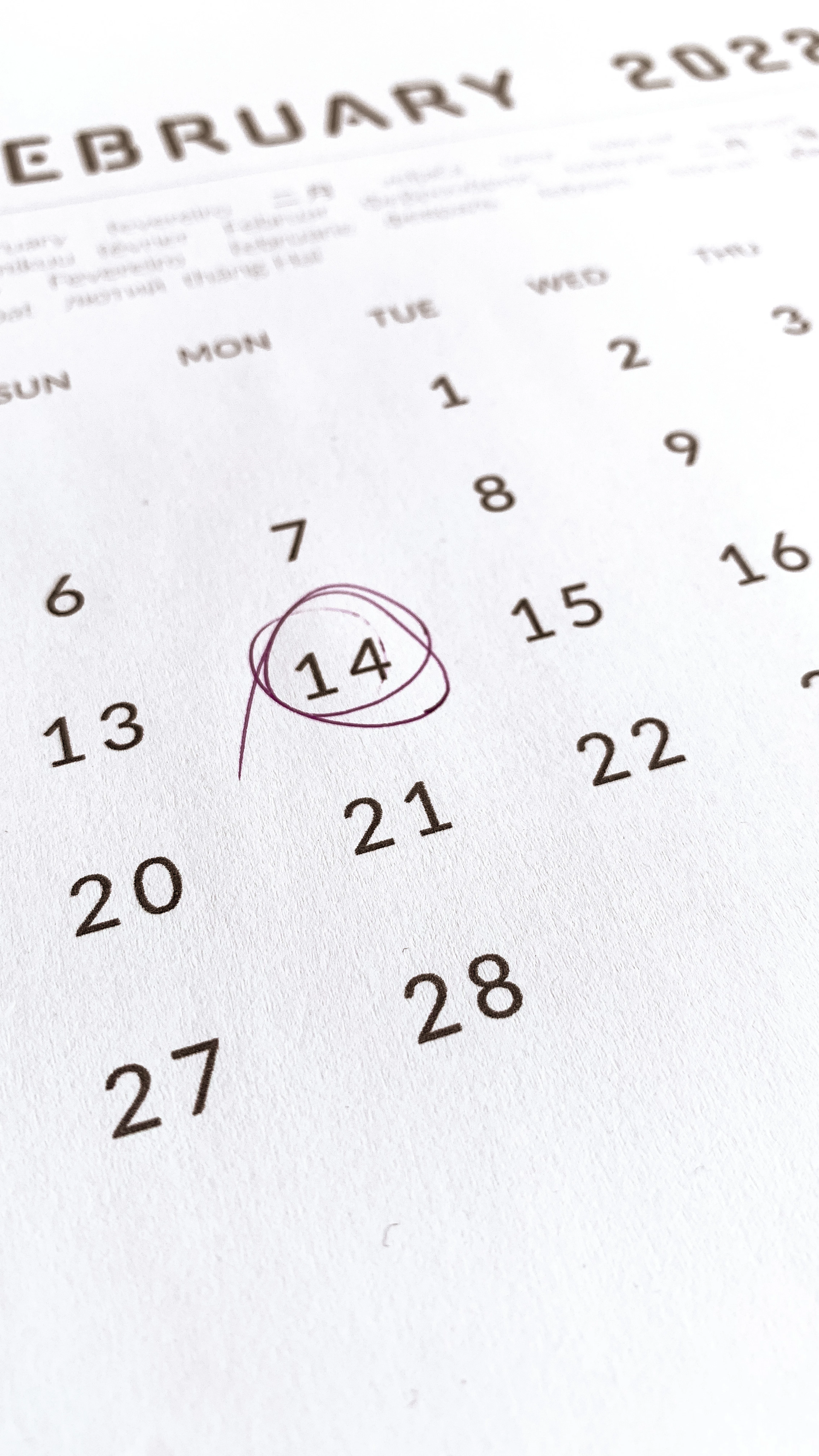 Close-up of a calendar page with the 14th circled in red ink
