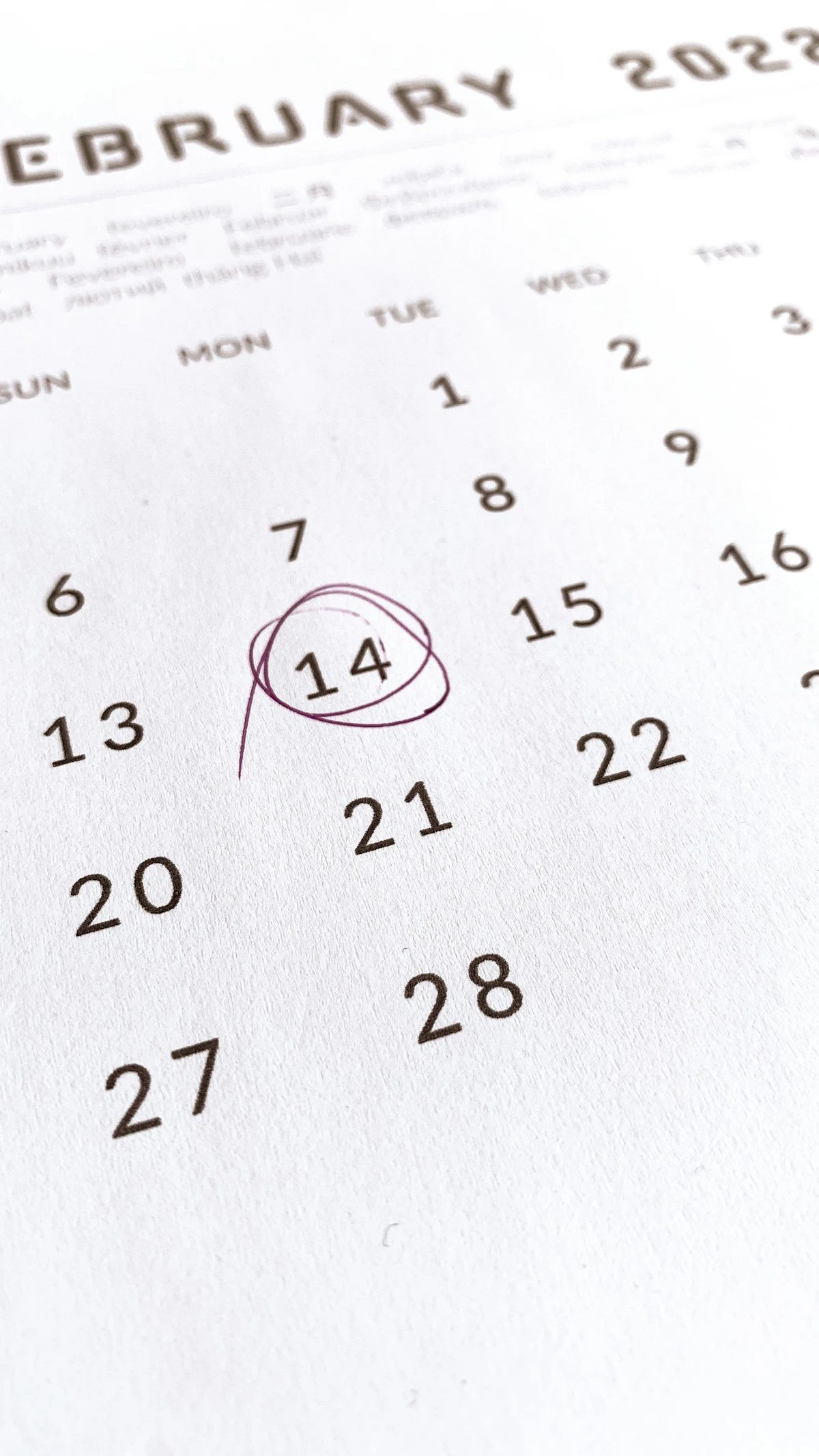 Leap Year Birthdays: How to Calculate Your Real Age