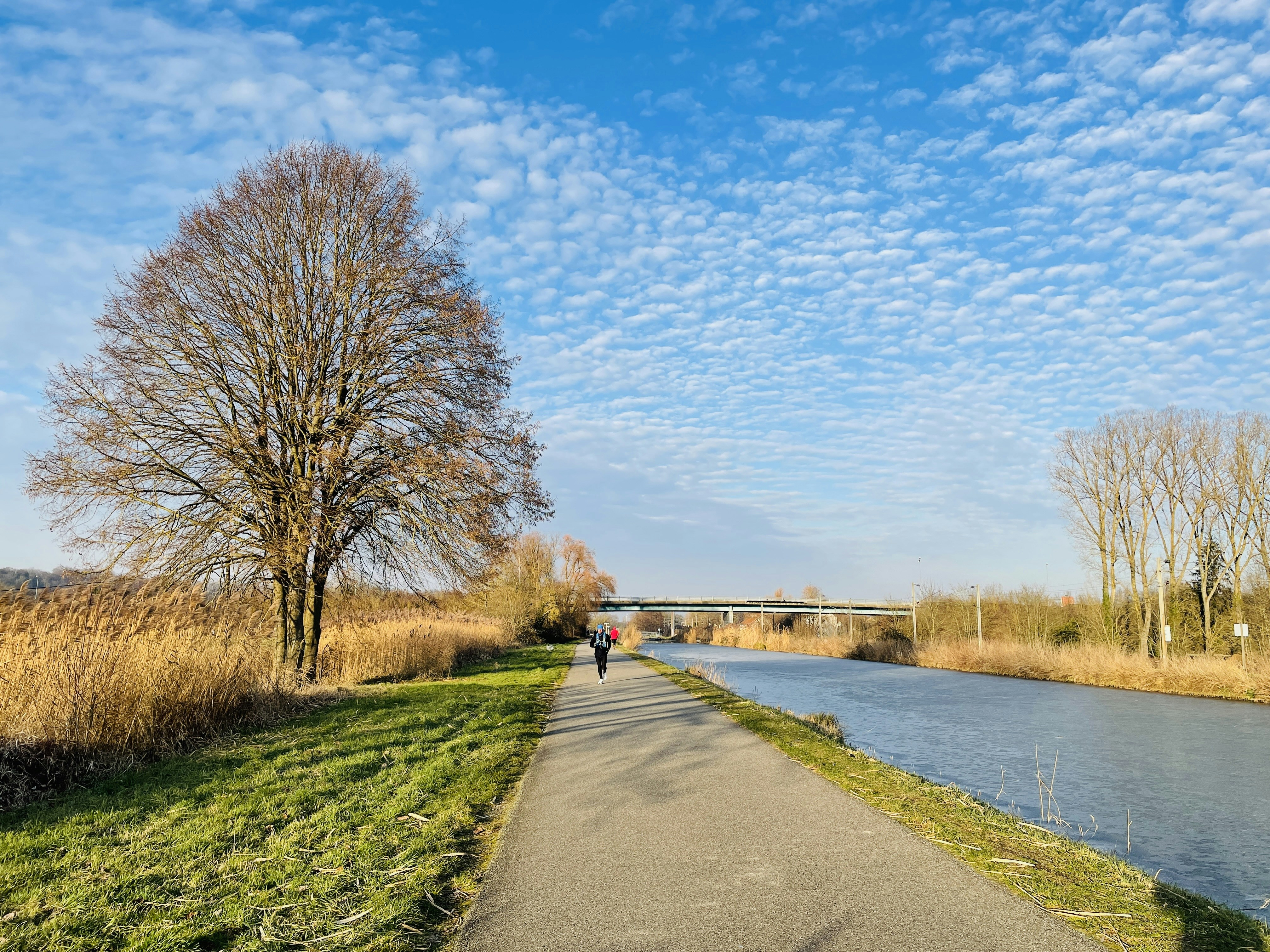 A person walking down a path next to a river photo – Free Path Image on ...