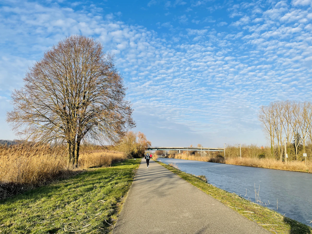 Person geht an einem Fluss entlang als Symbol für langfristige Rauchfreiheit
