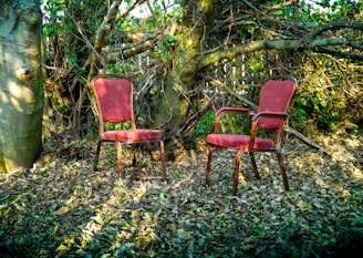 a couple of red chairs sitting next to a tree