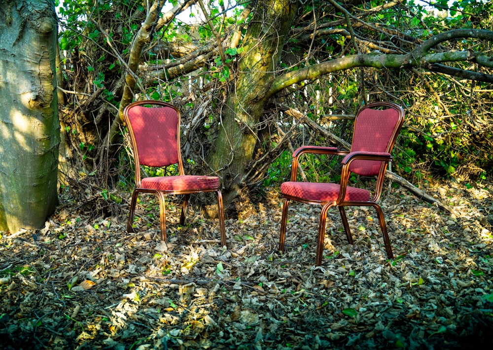 a couple of red chairs sitting next to a tree