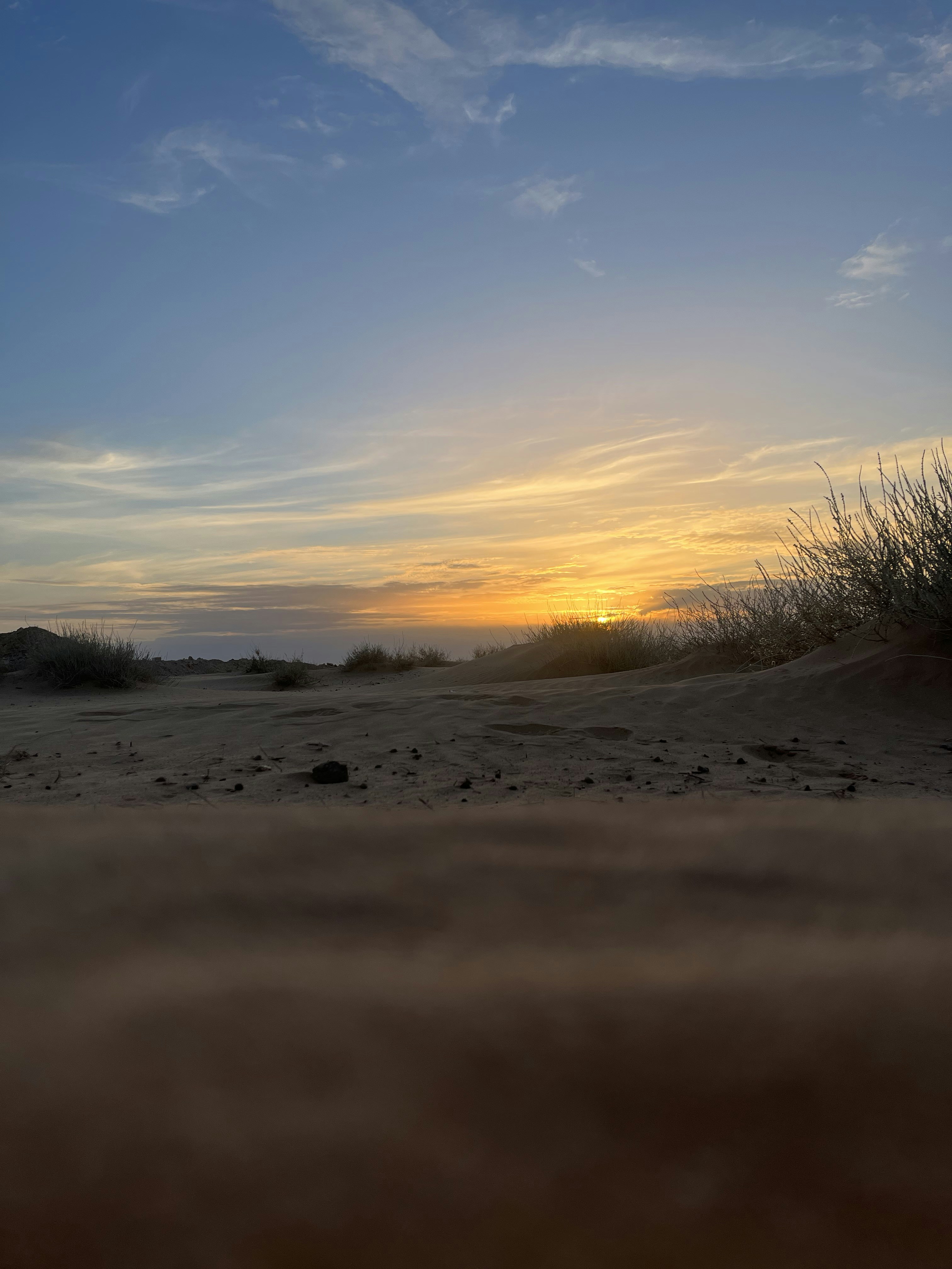 Photo by salehghettas