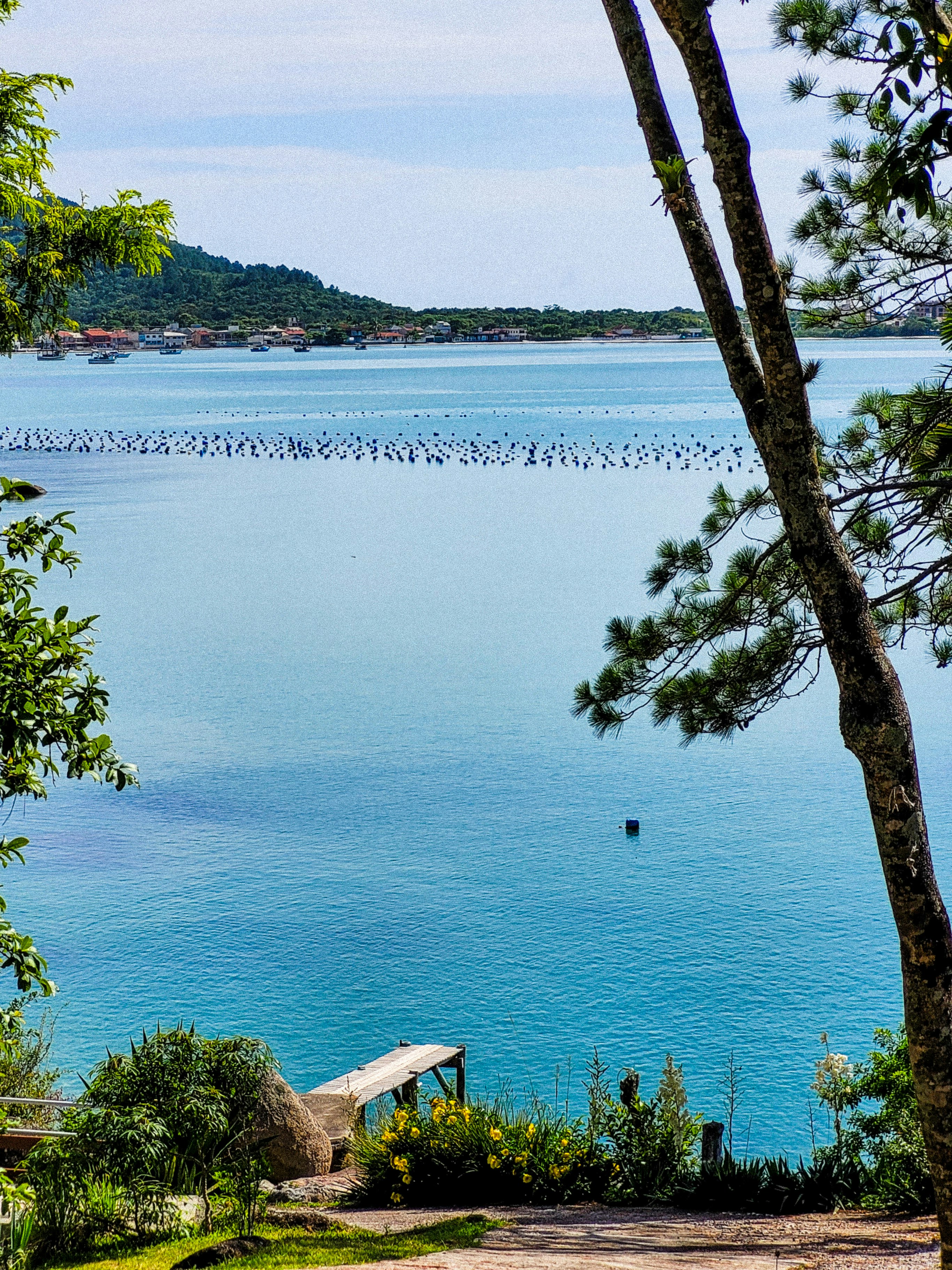 Photo by claitonconto