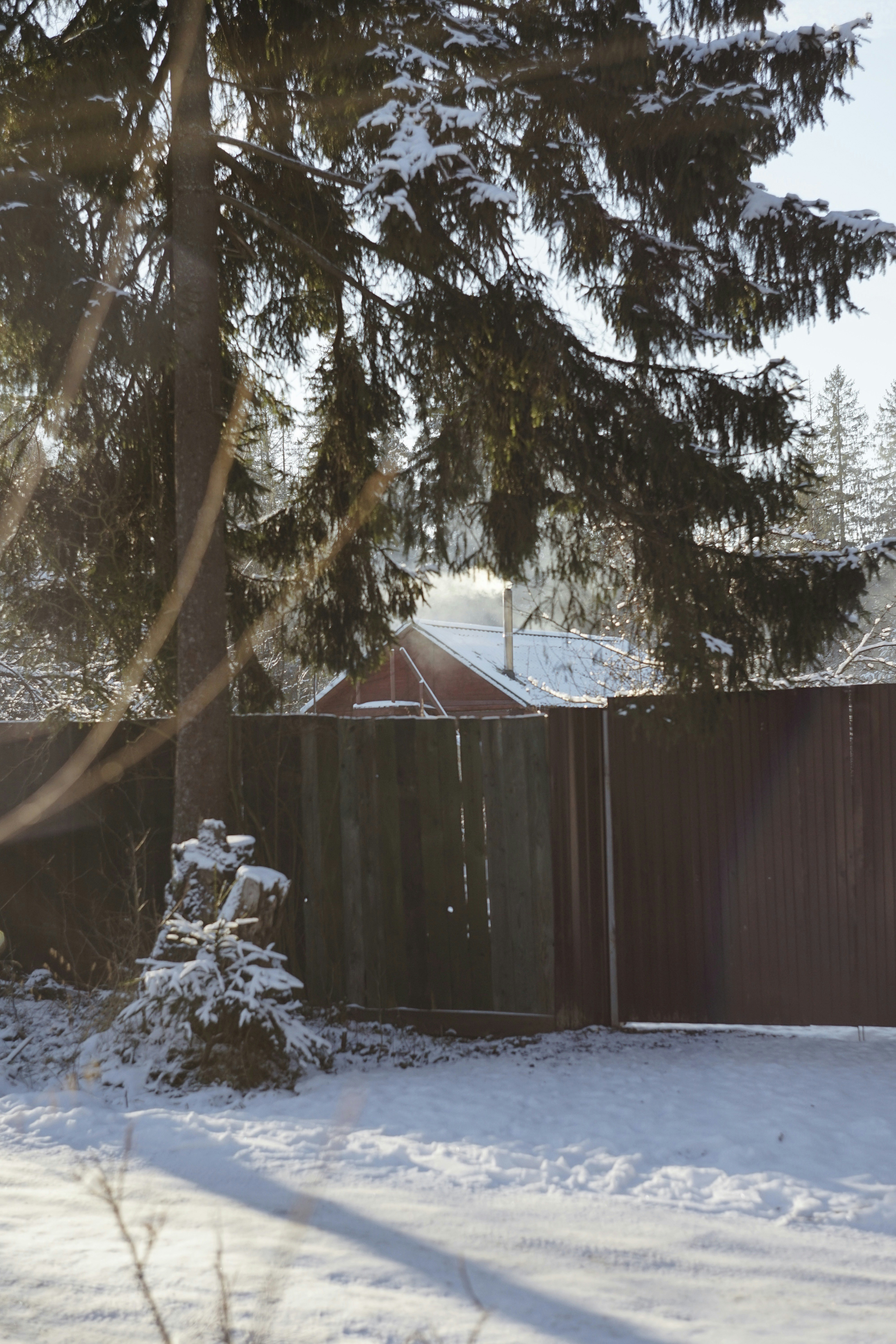 Photo by veragorbunova