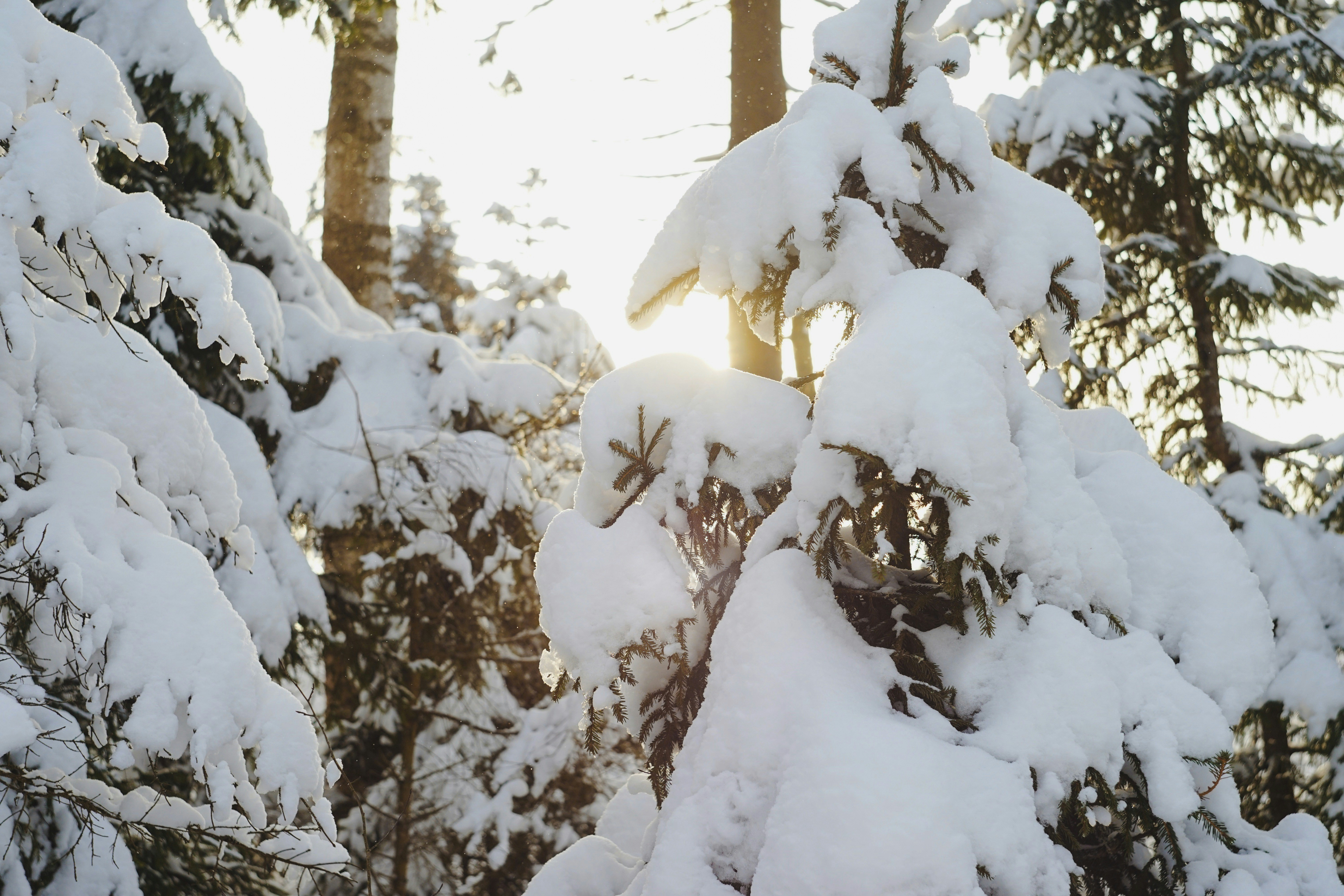 Photo by veragorbunova