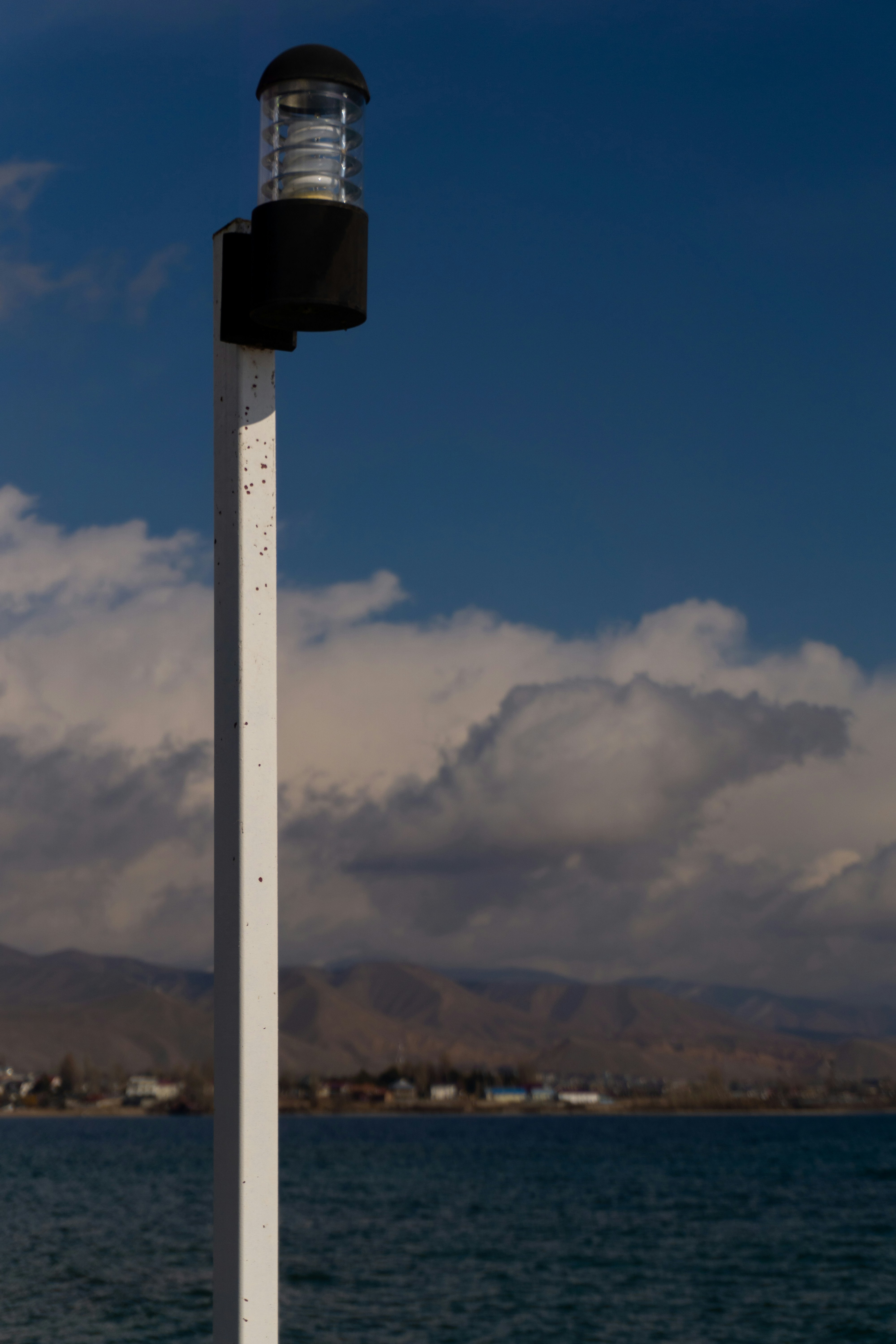 a street light sitting on the side of a body of water