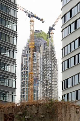 A high-rise building under construction is framed between two modern office towers. Two large yellow cranes are actively involved in the construction process. The building is covered in scaffolding, indicating ongoing work. A concrete wall with climbing plants is visible in the foreground.
