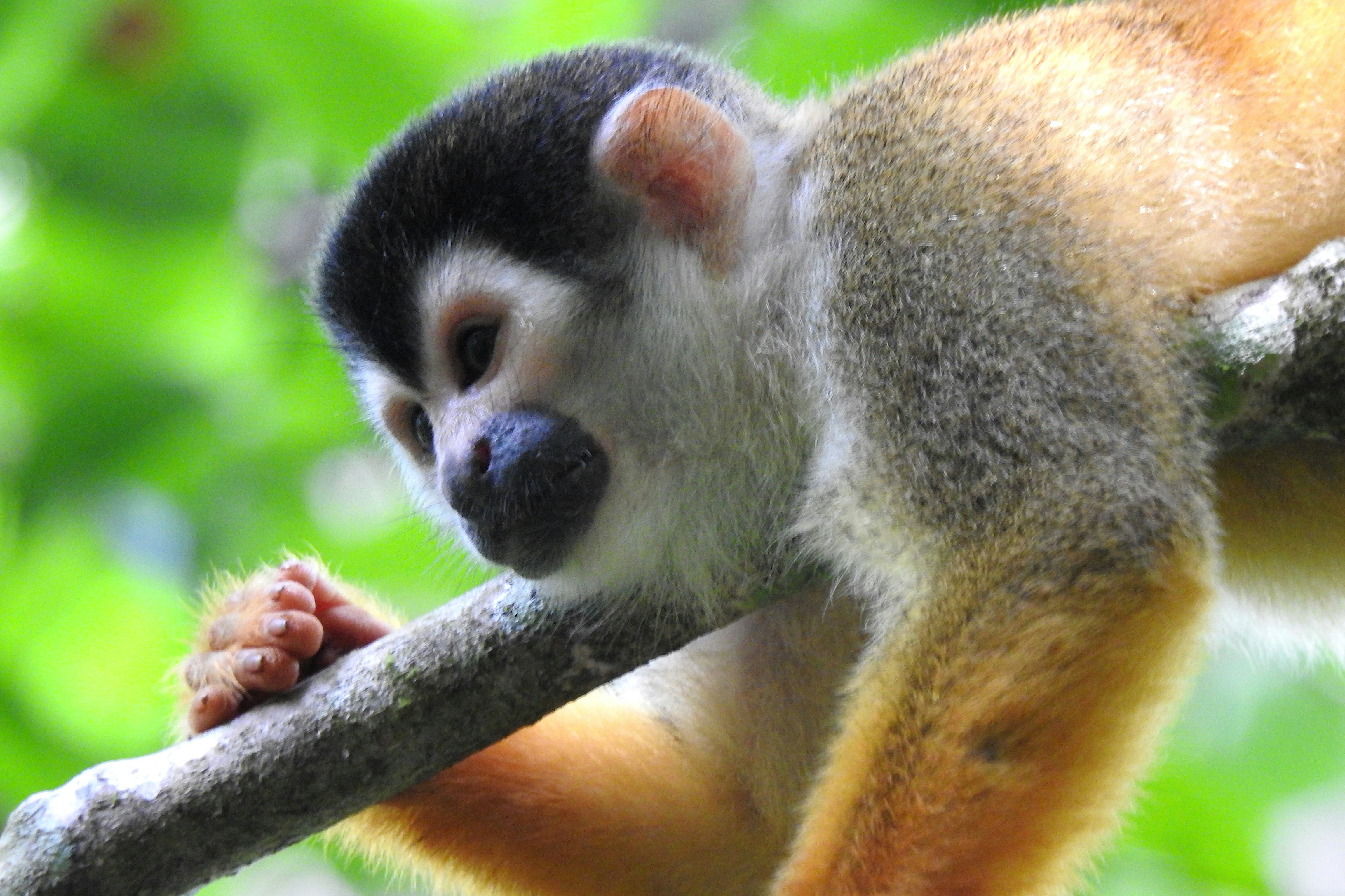 Photo by artemisdesign