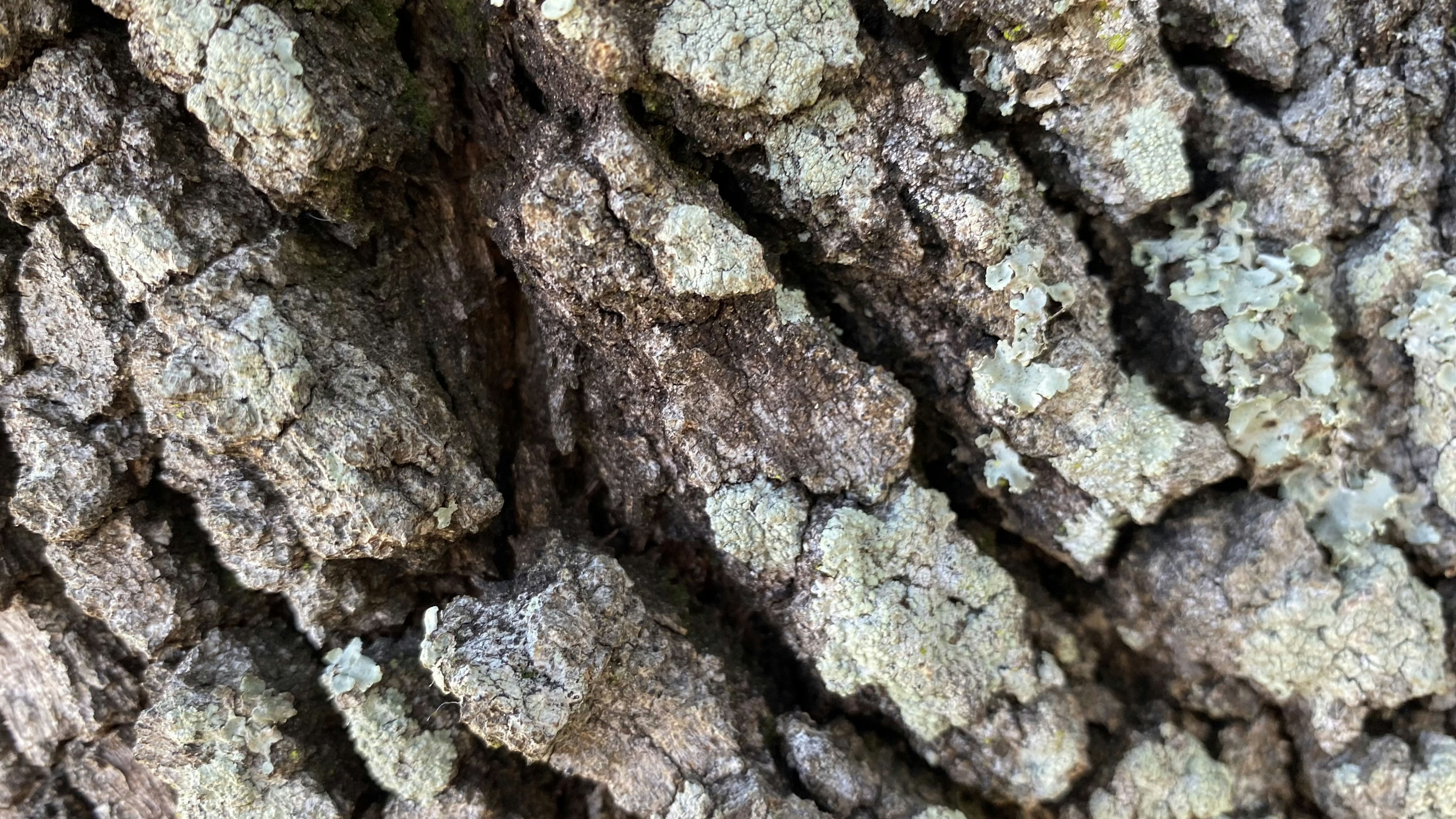 Photo by chillstep1x