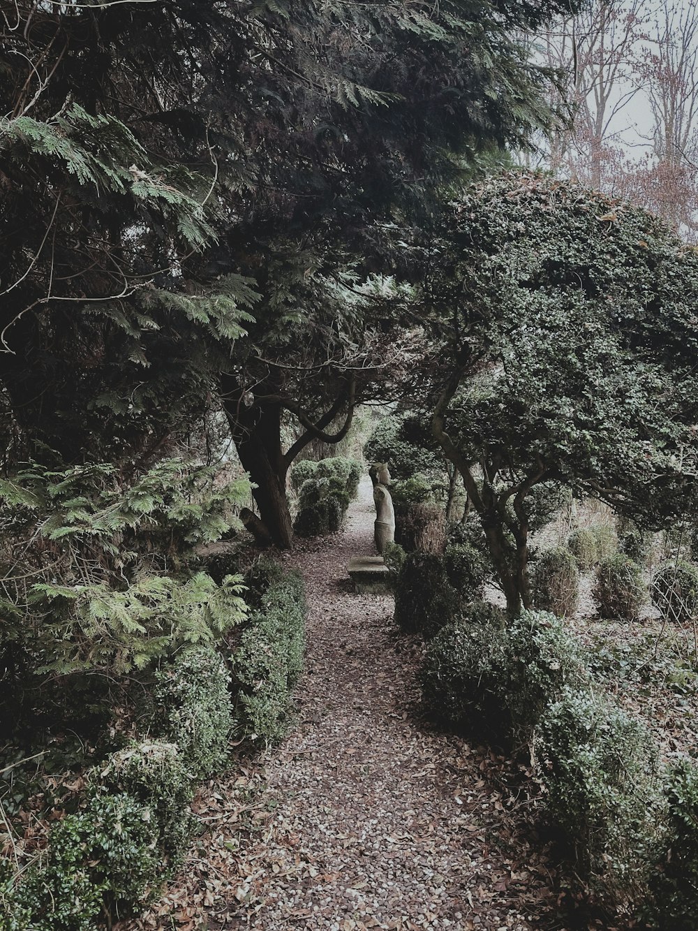 a path in a park with trees and bushes