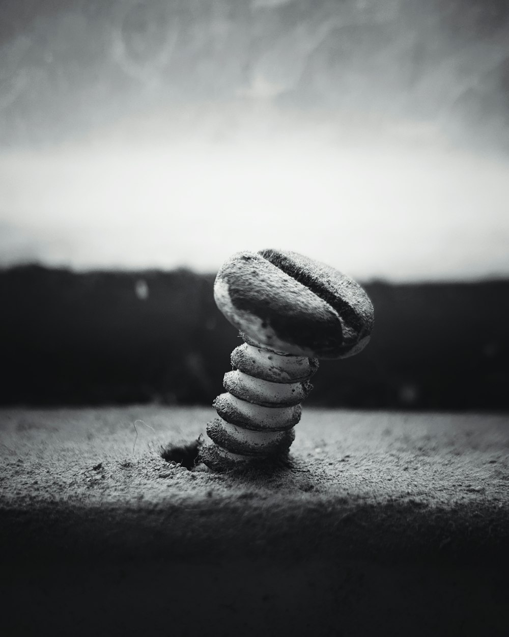 a stack of cookies sitting on top of a sandy beach