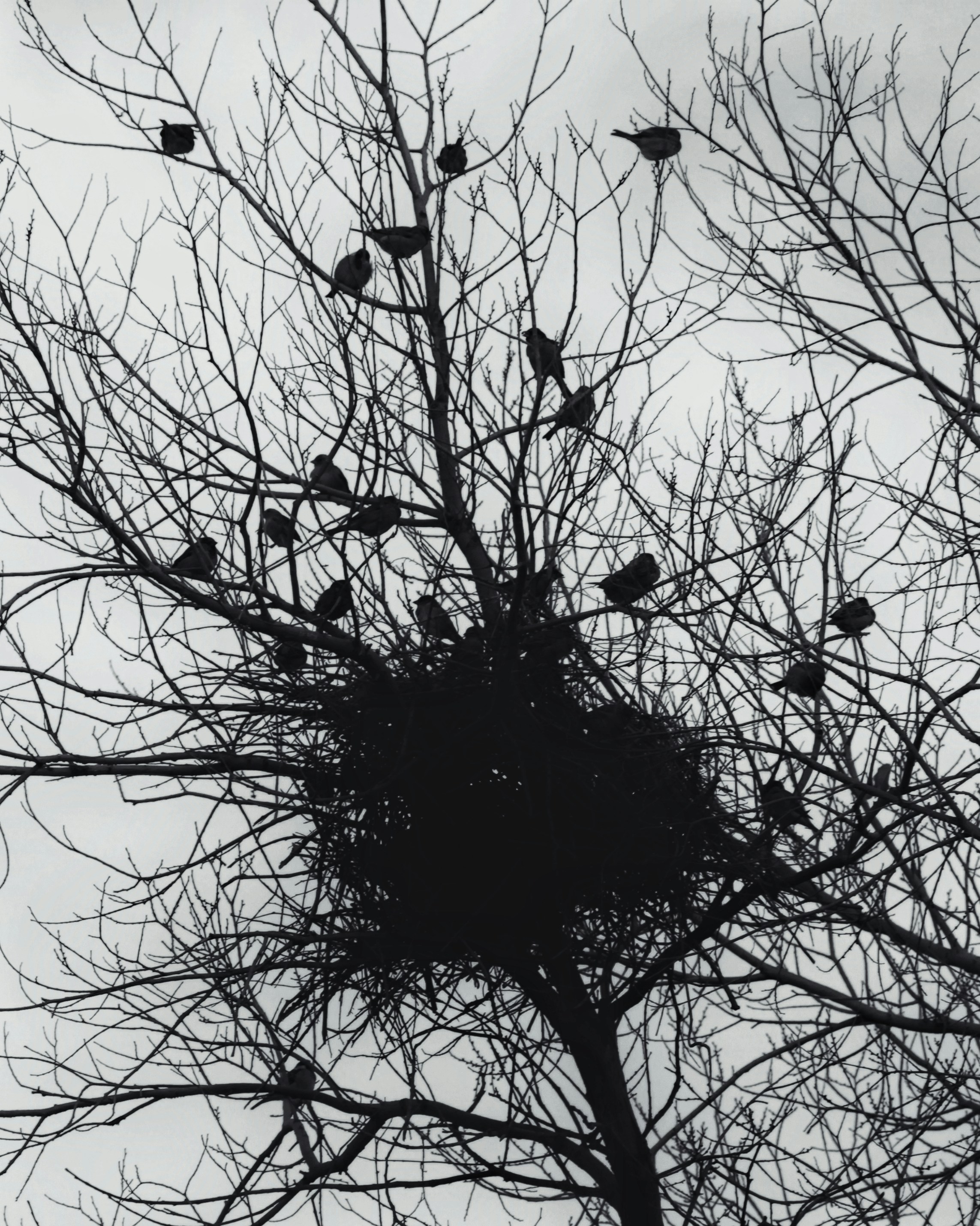 Photo by hasanalmasi