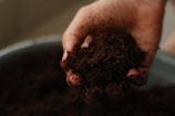 a person holding a handful of dirt in their hand