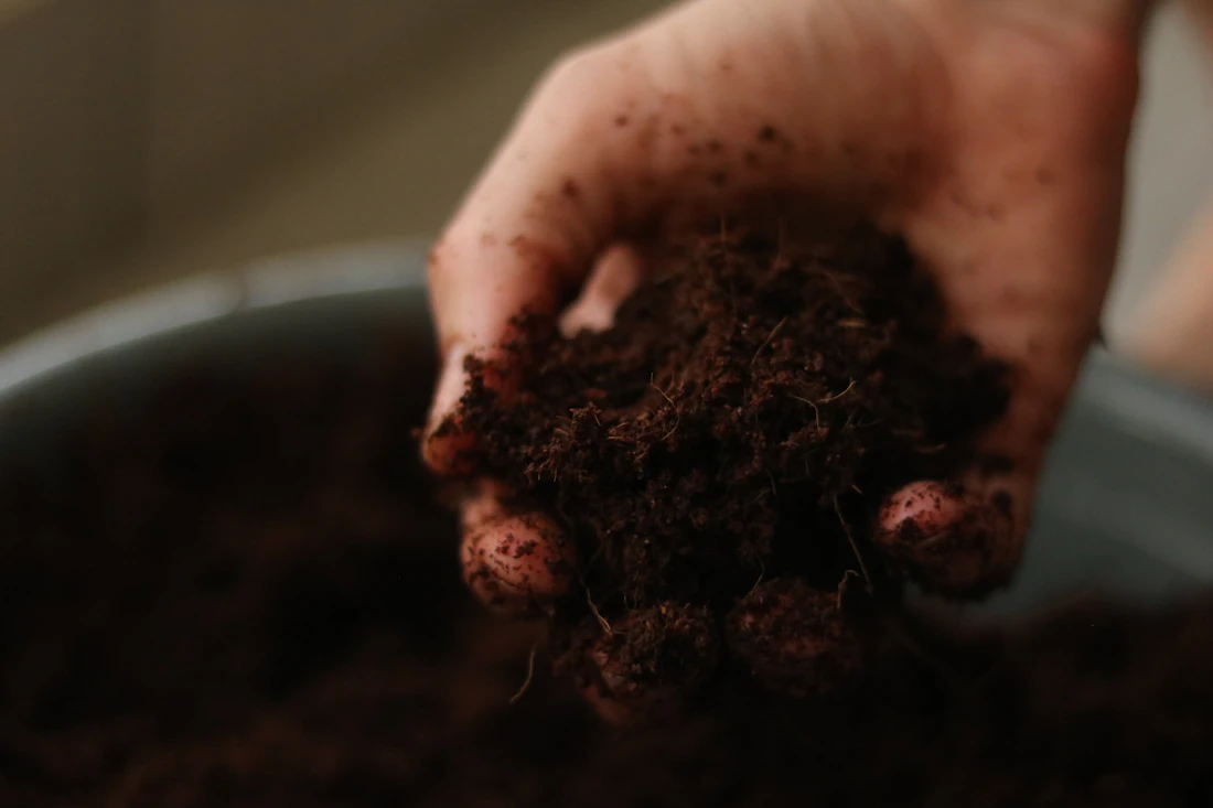 Hand holding a handful of dark, crumbly compost soil