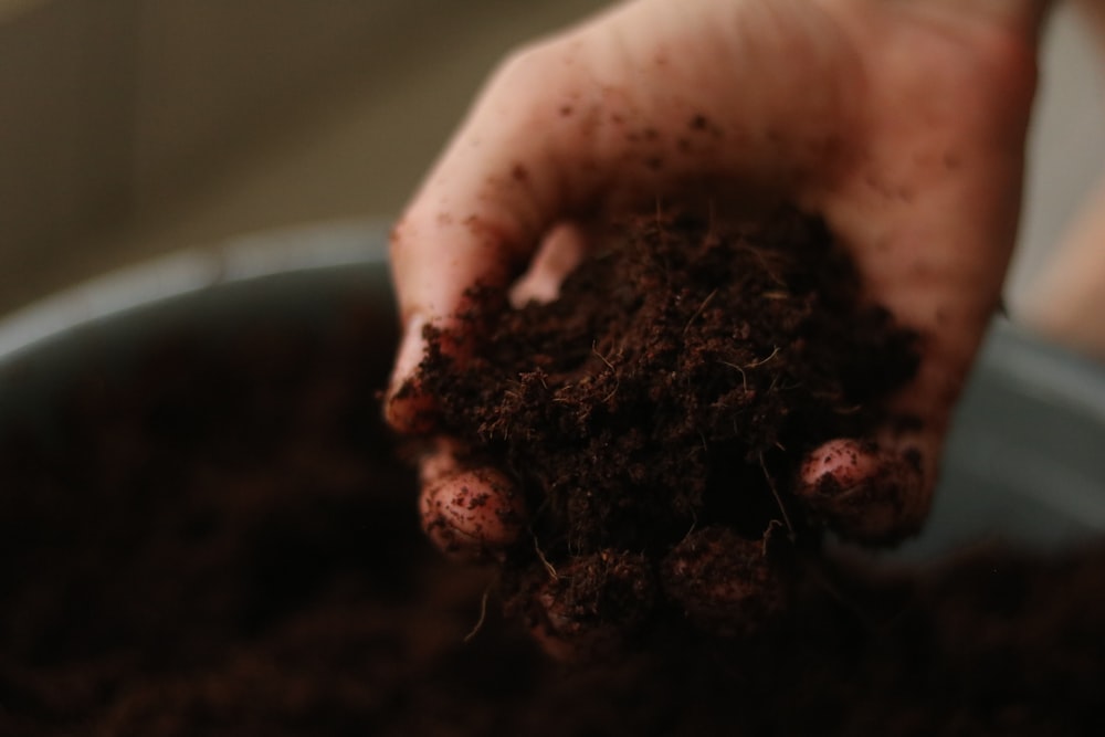 a person holding a handful of dirt in their hand