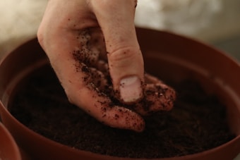 A hand is gently pressing or sifting through dark, moist soil in a terracotta pot, likely preparing for planting or gardening.